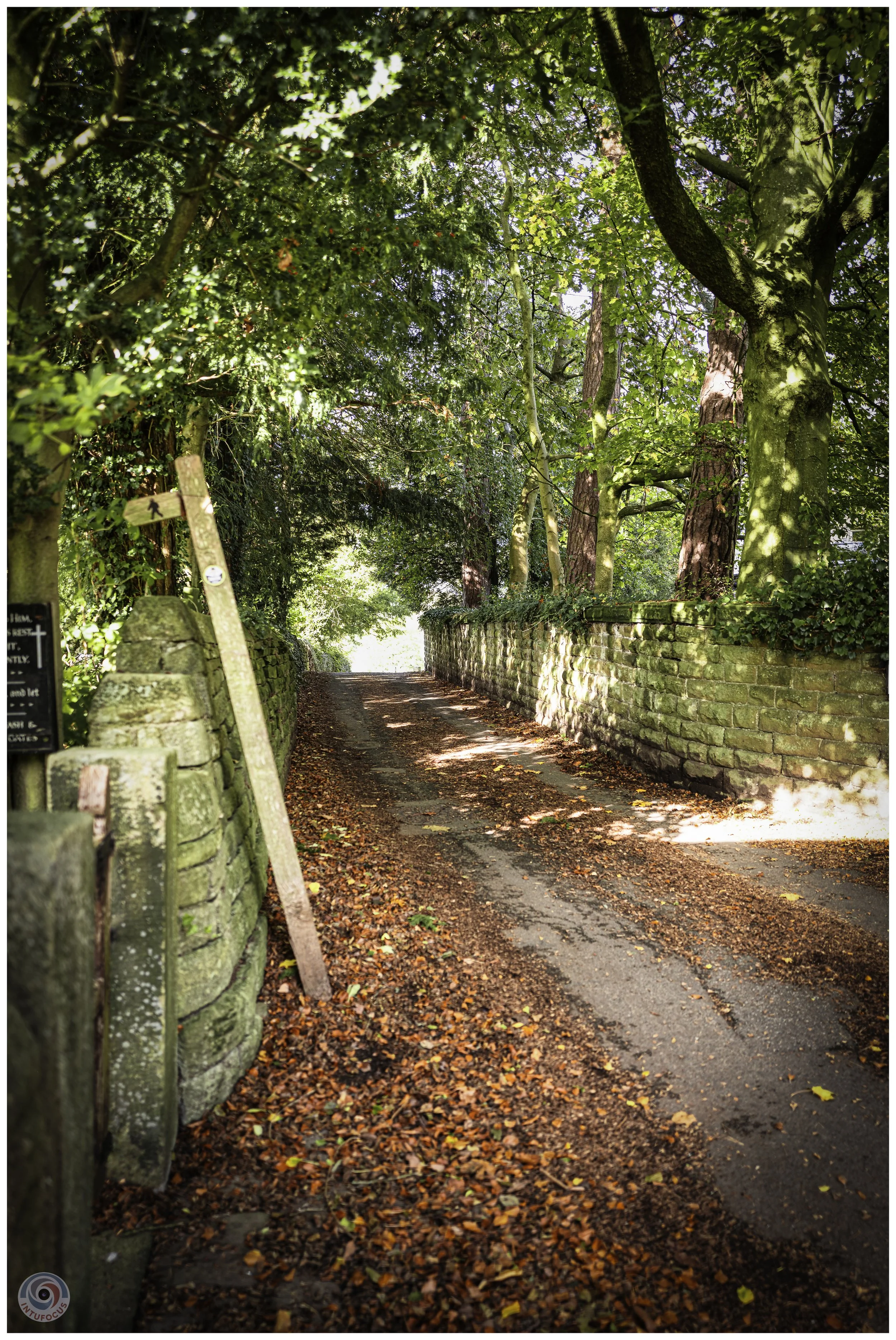 2026-10 - Autumn in Derbyshire (68 of 78).jpg