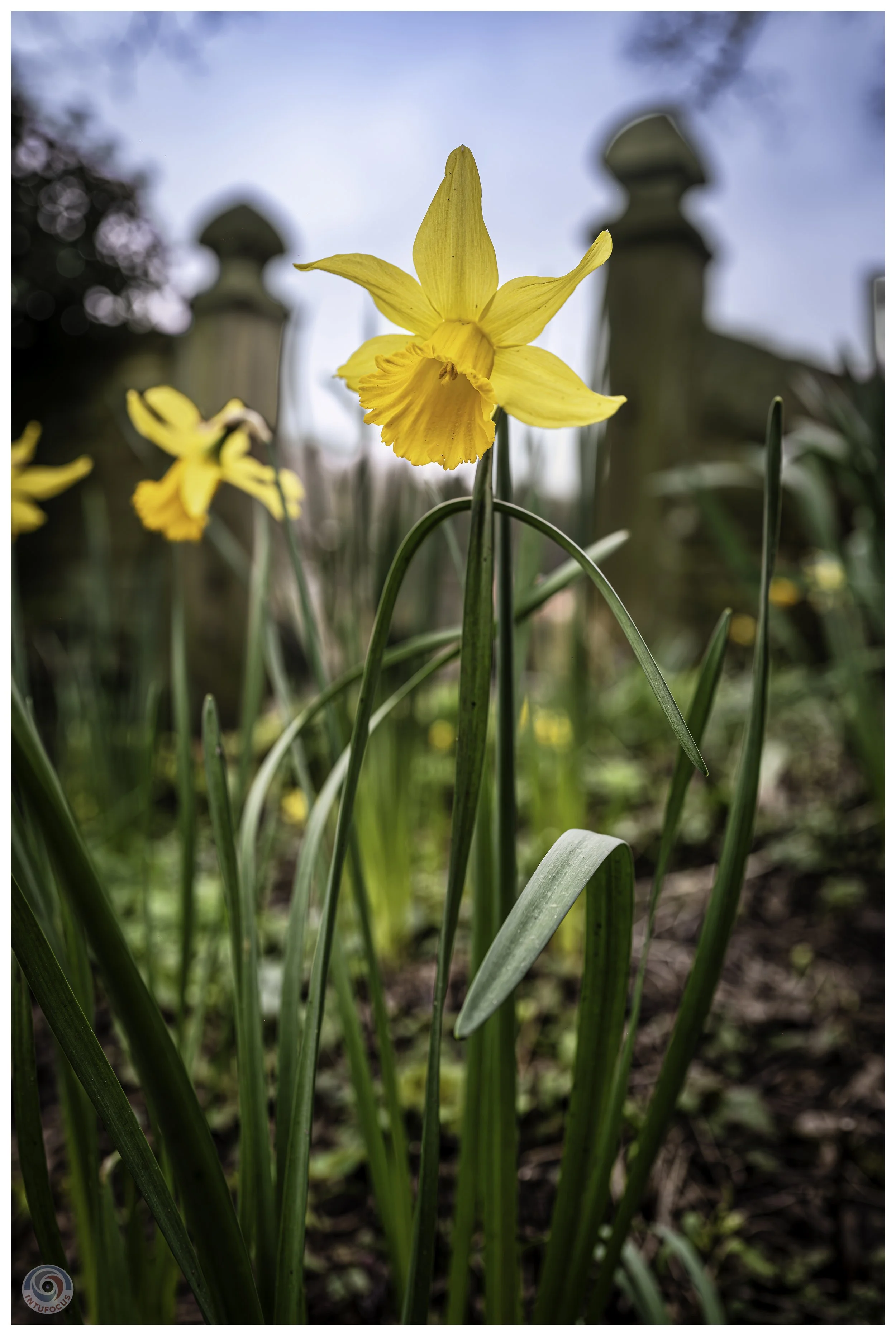Ashford on the Water, Derbyshire