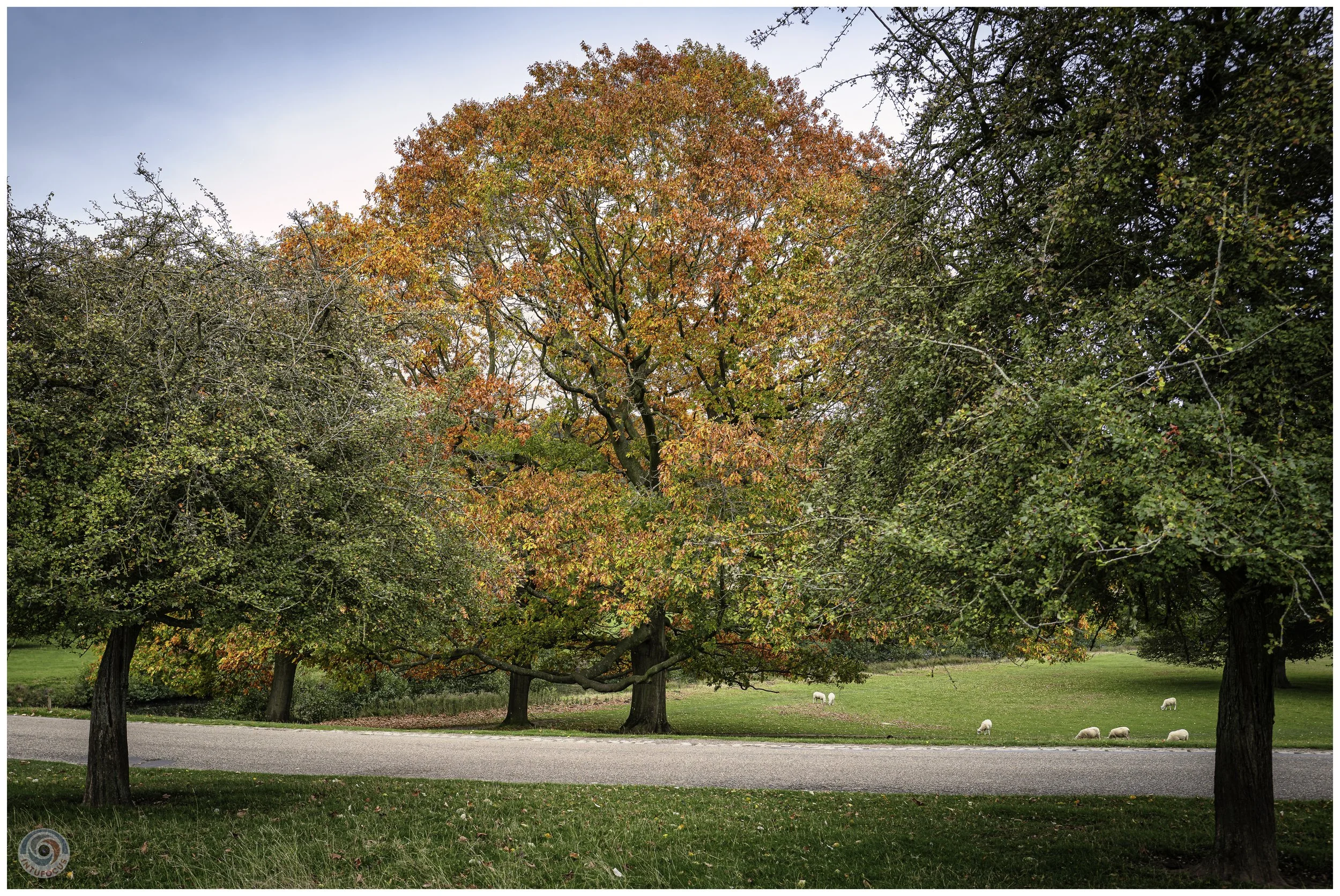 2026-10 - Autumn in Derbyshire (44 of 78).jpg