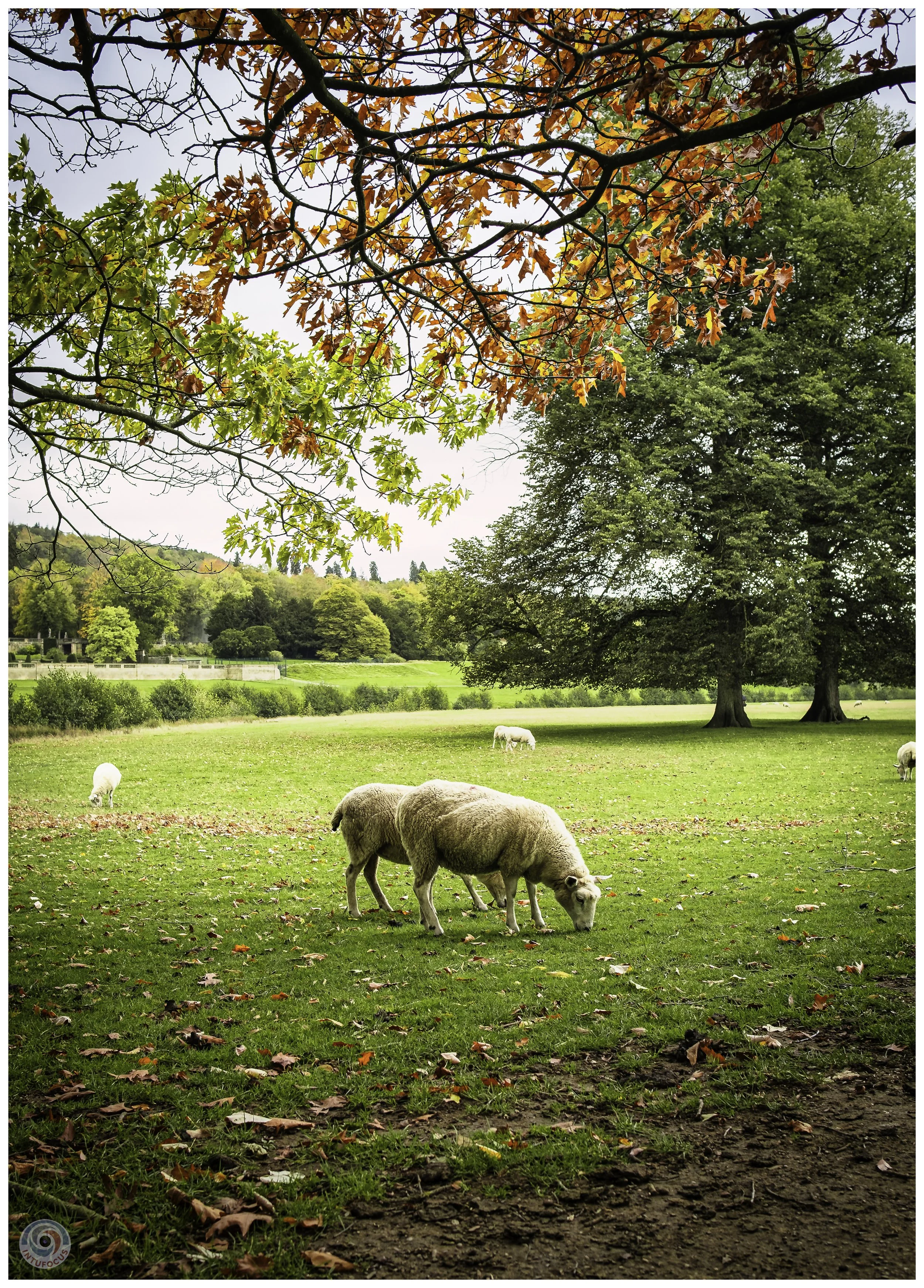 2026-10 - Autumn in Derbyshire (29 of 78).jpg