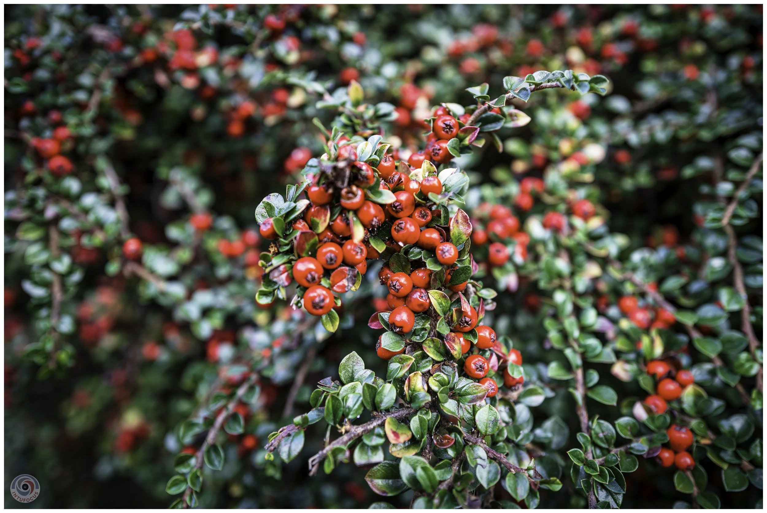 2026-10 - Autumn in Derbyshire (48 of 78).jpg