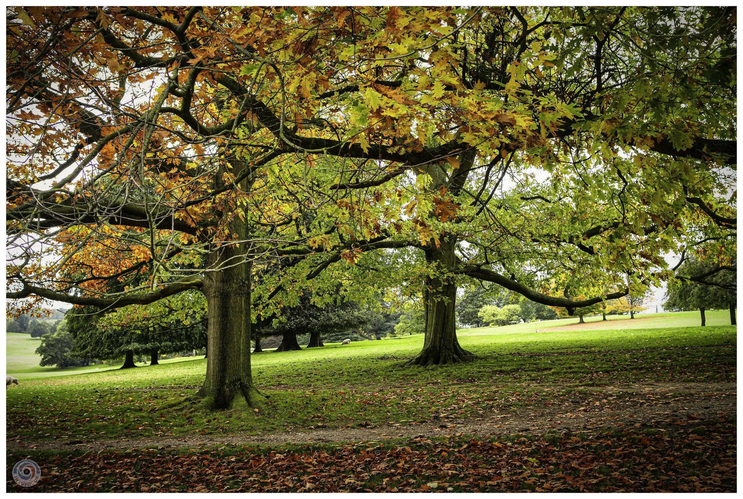 2026-10 - Autumn in Derbyshire (34 of 78).jpg