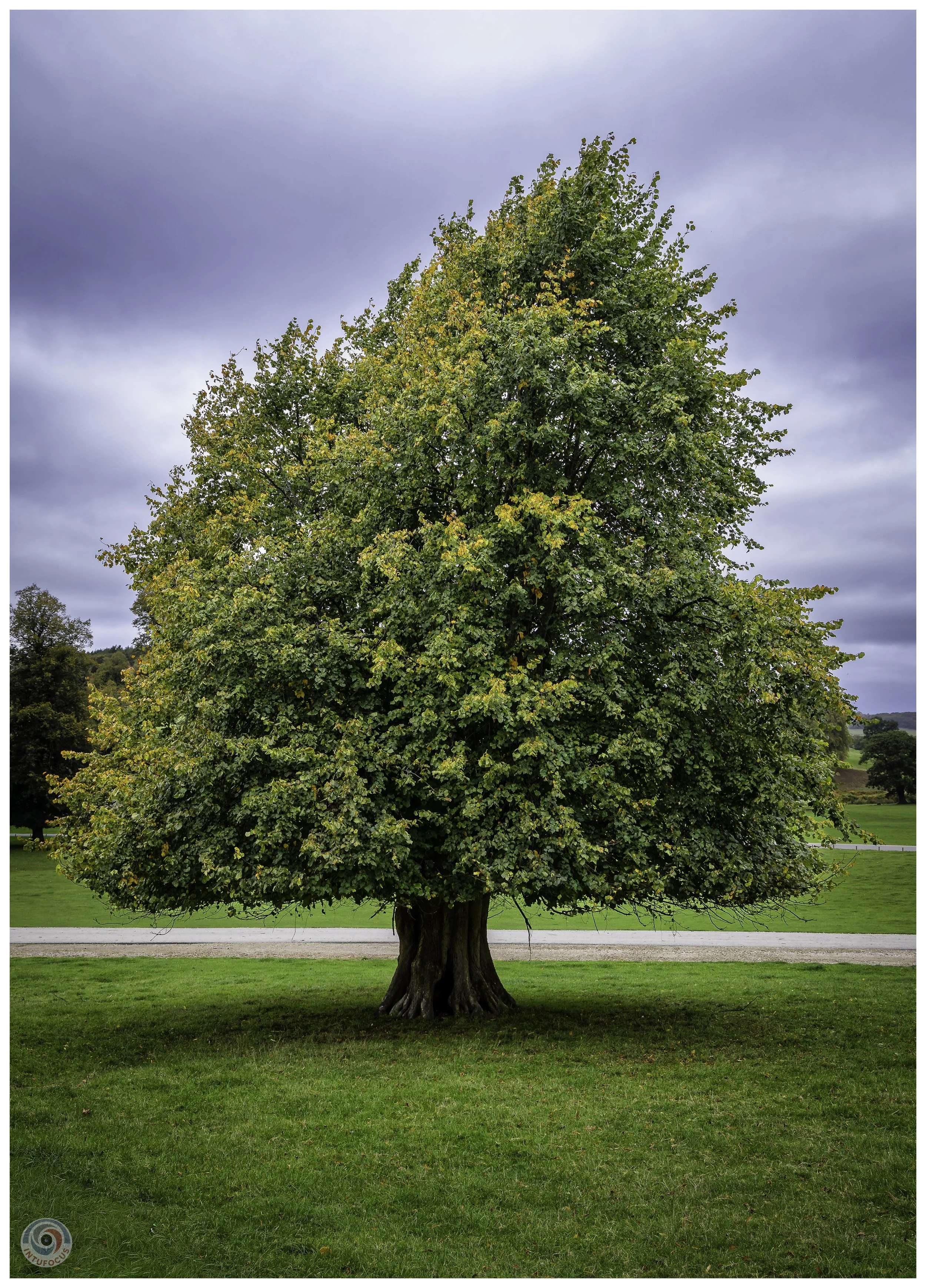 2026-10 - Autumn in Derbyshire (11 of 78).jpg