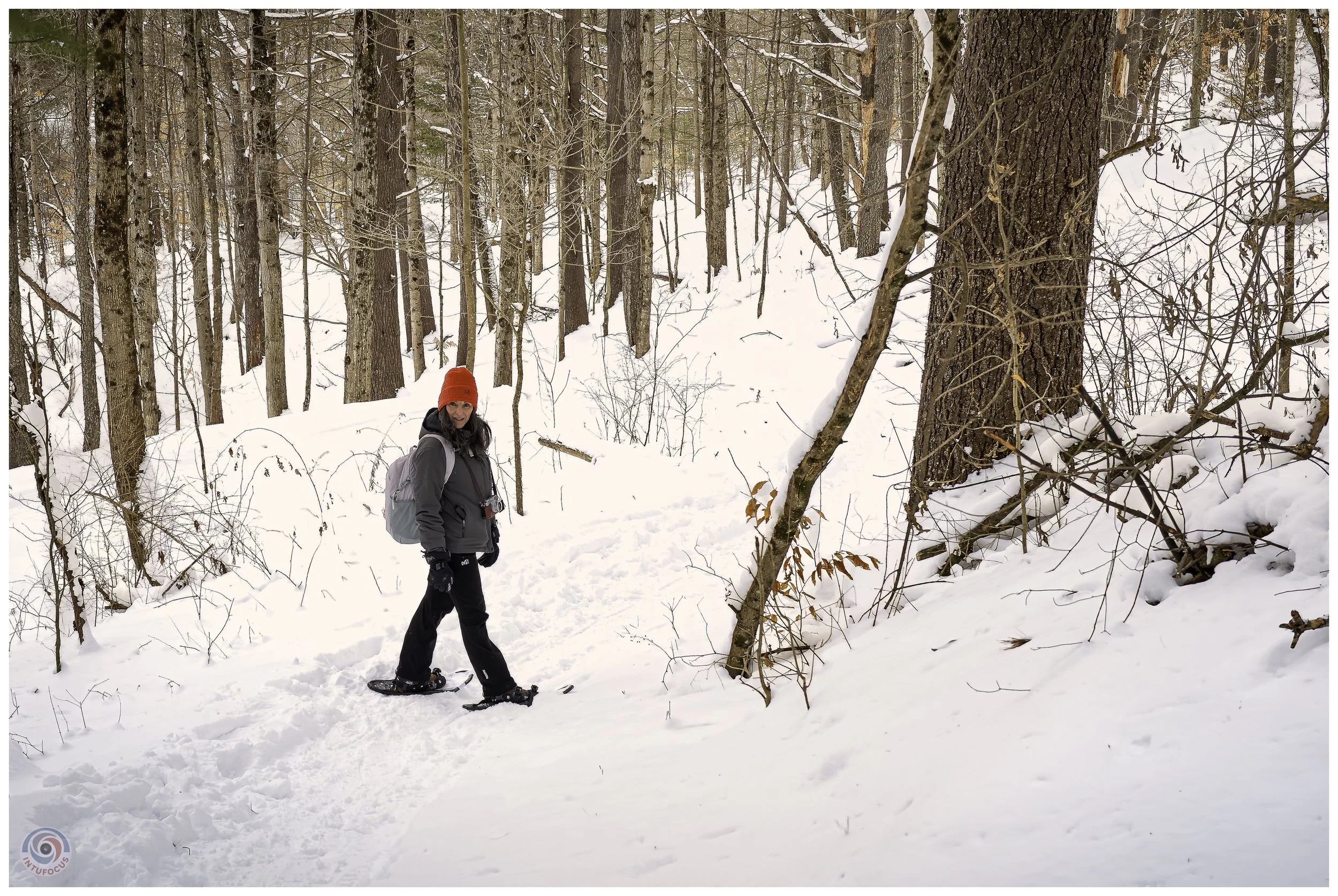 Cady Hill Forest, Stowe, VT