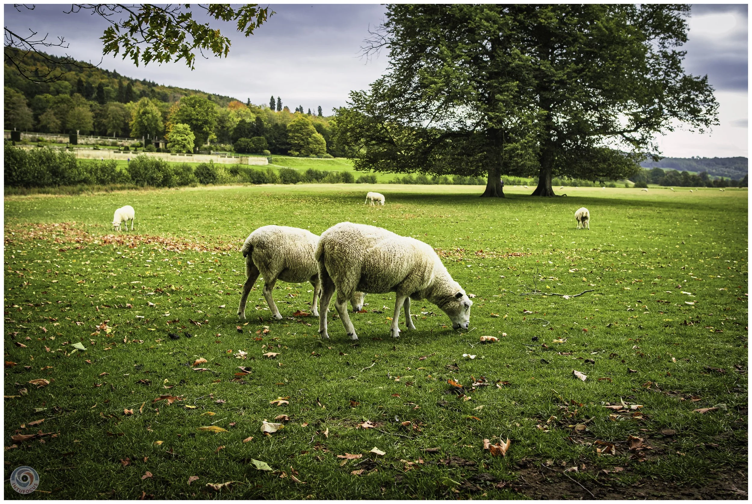 2026-10 - Autumn in Derbyshire (30 of 78).jpg
