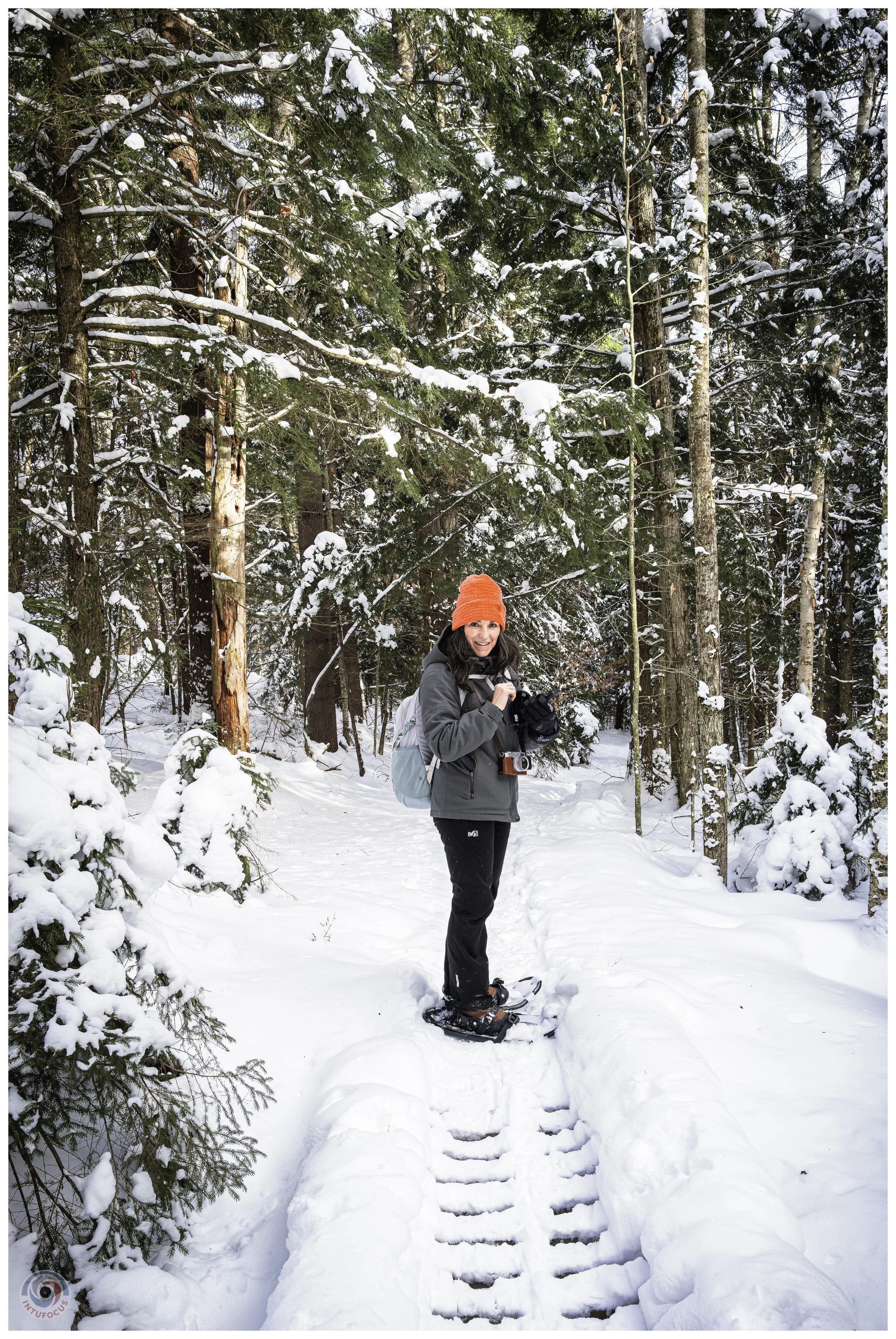 Cady Hill Forest, Stowe, VT