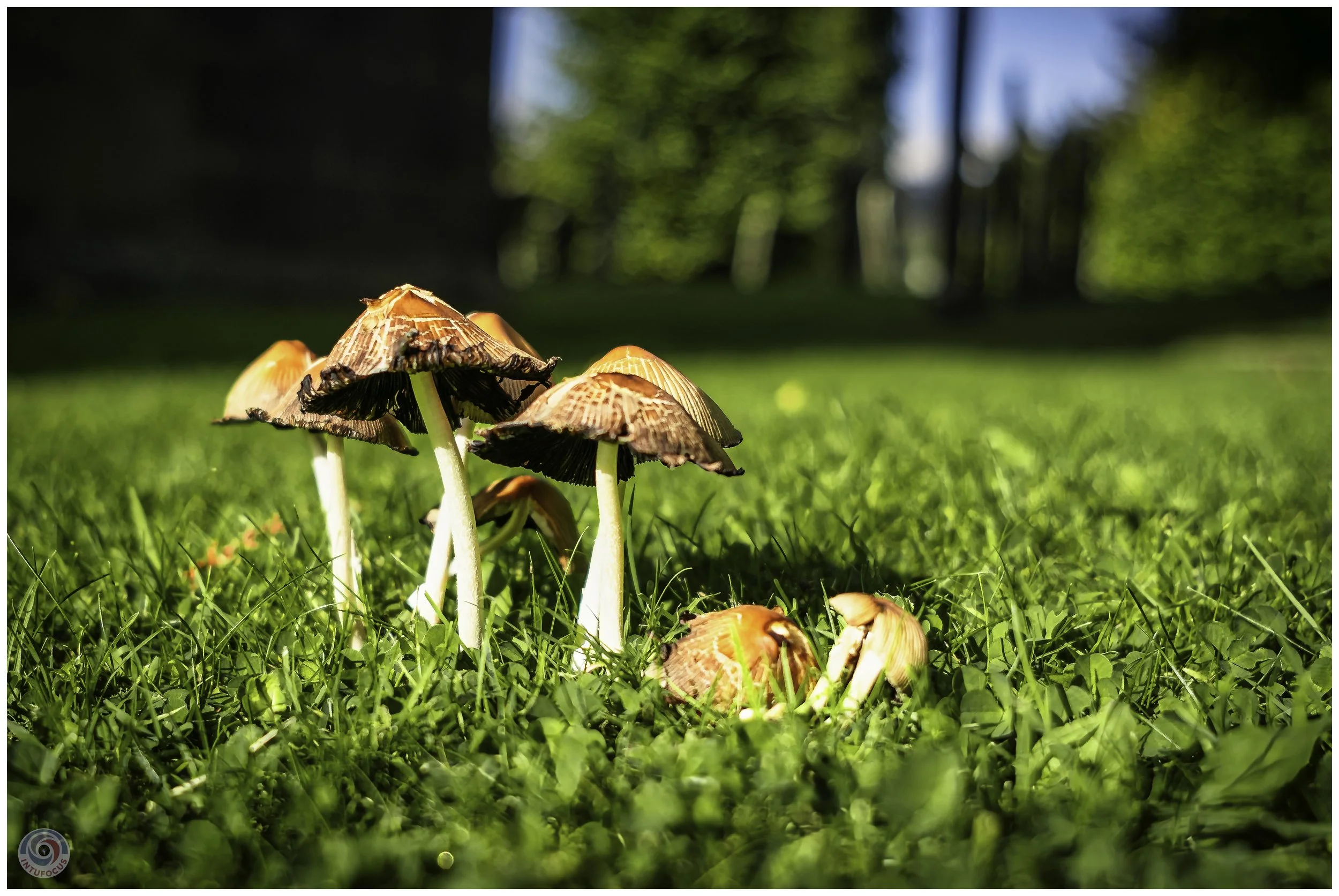 2026-10 - Autumn in Derbyshire (66 of 78).jpg