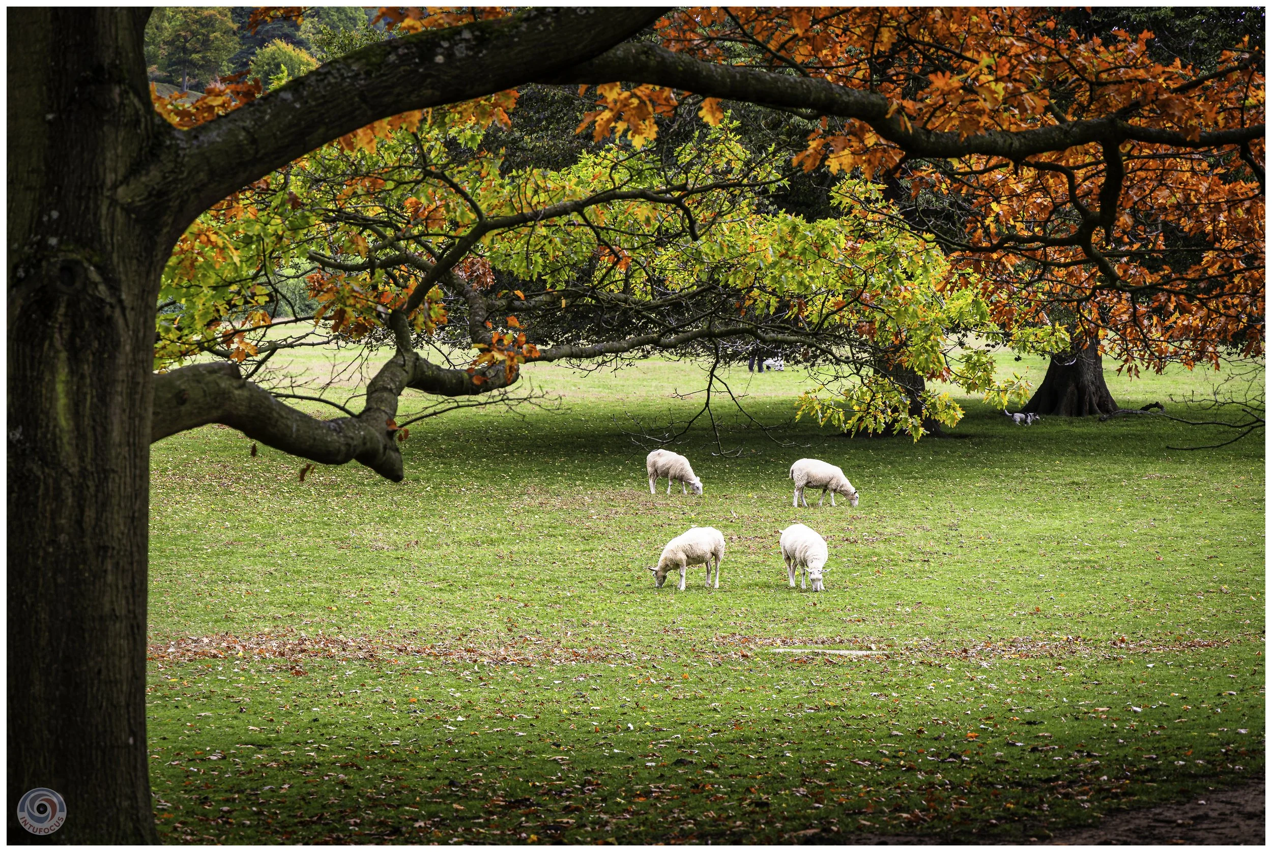 2026-10 - Autumn in Derbyshire (33 of 78).jpg
