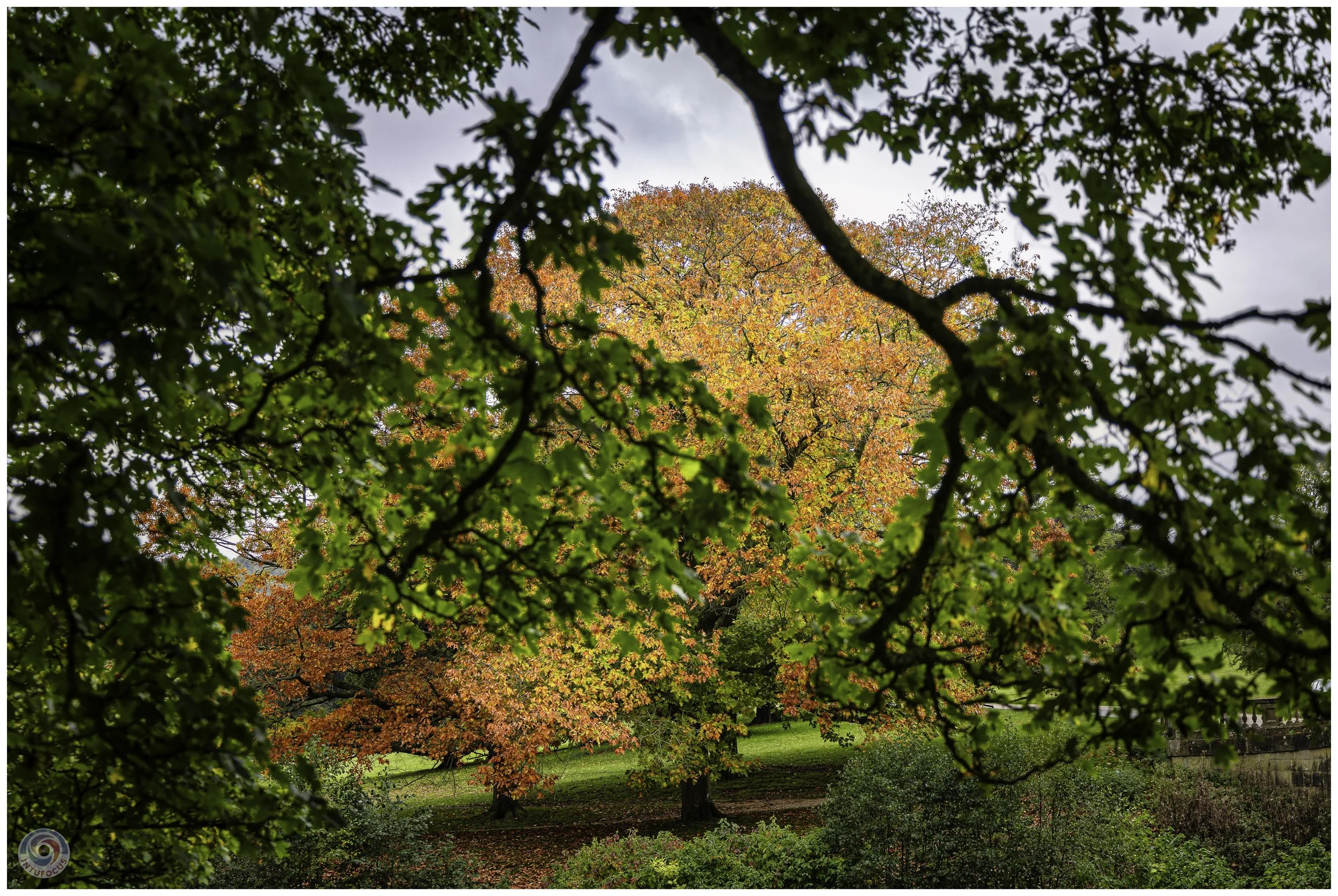 2026-10 - Autumn in Derbyshire (23 of 78).jpg