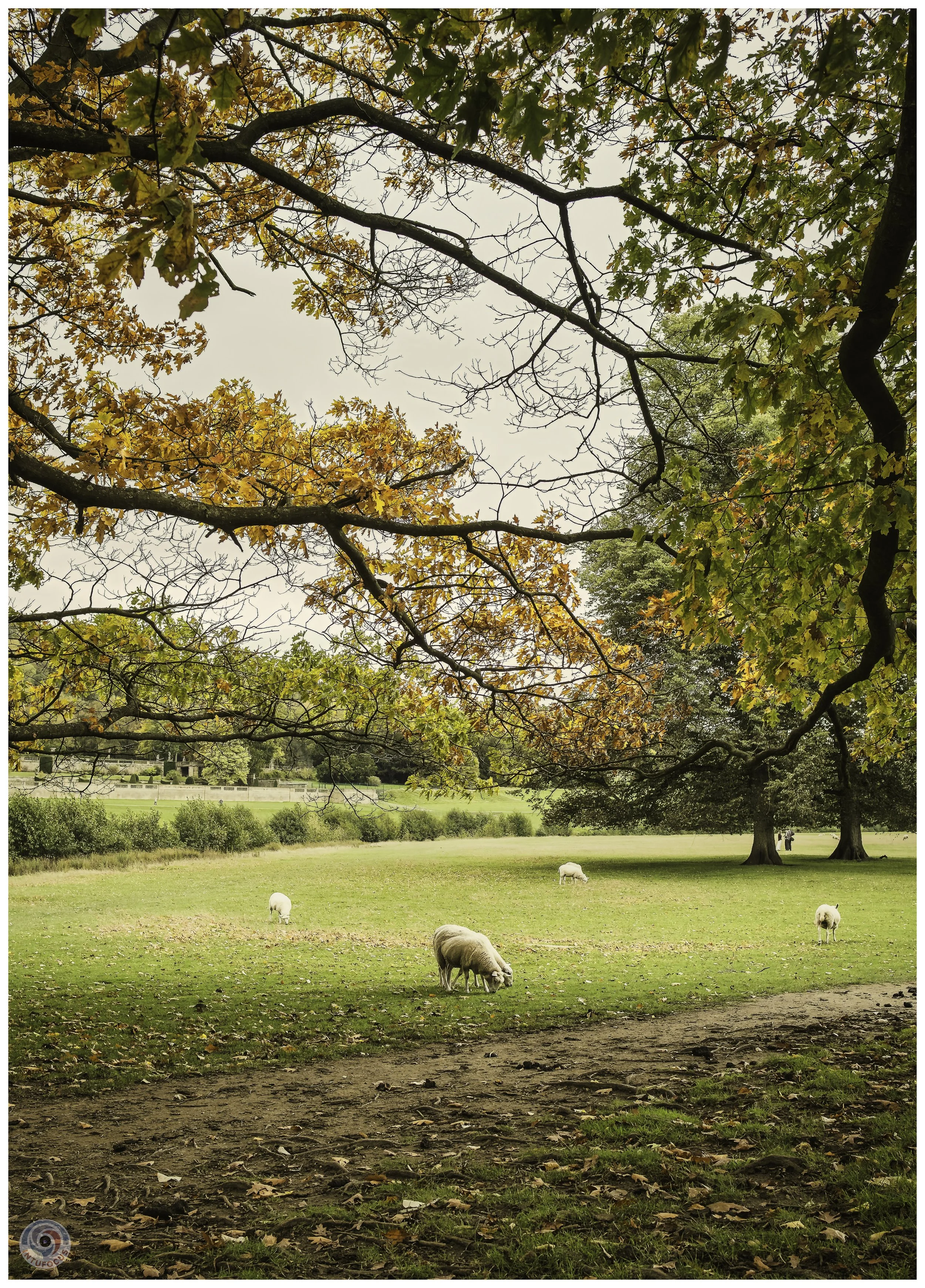 2026-10 - Autumn in Derbyshire (28 of 78).jpg