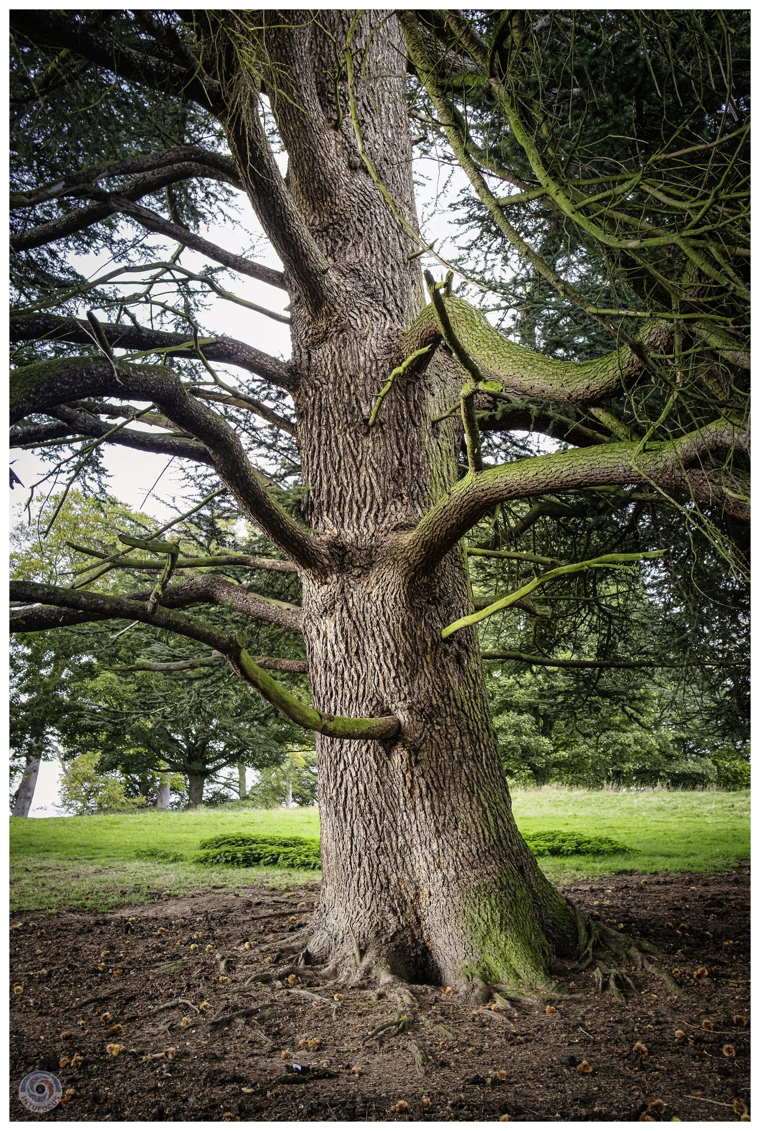 2026-10 - Autumn in Derbyshire (39 of 78).jpg