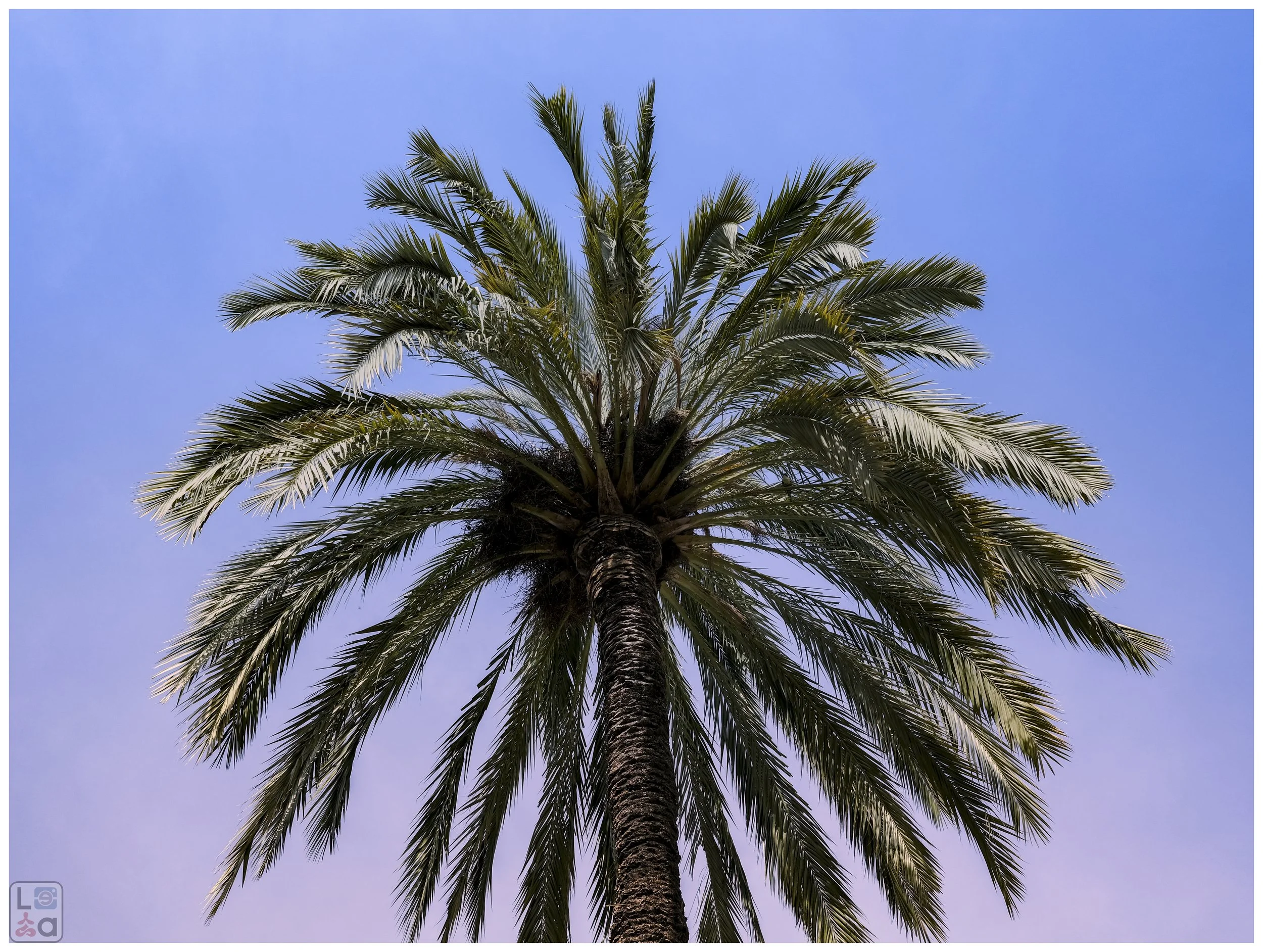 Barcelona 2024-3b.jpg