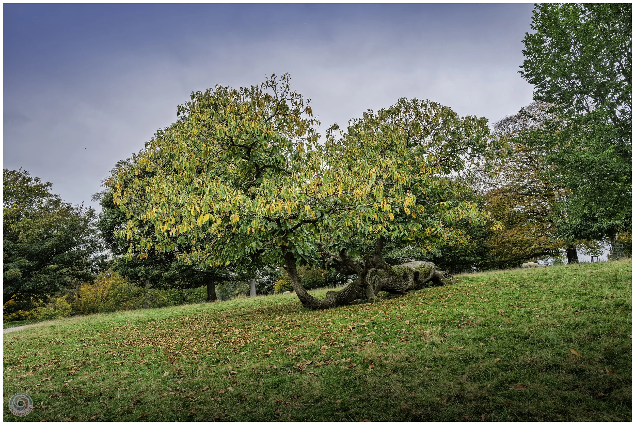 2026-10 - Autumn in Derbyshire (41 of 78).jpg