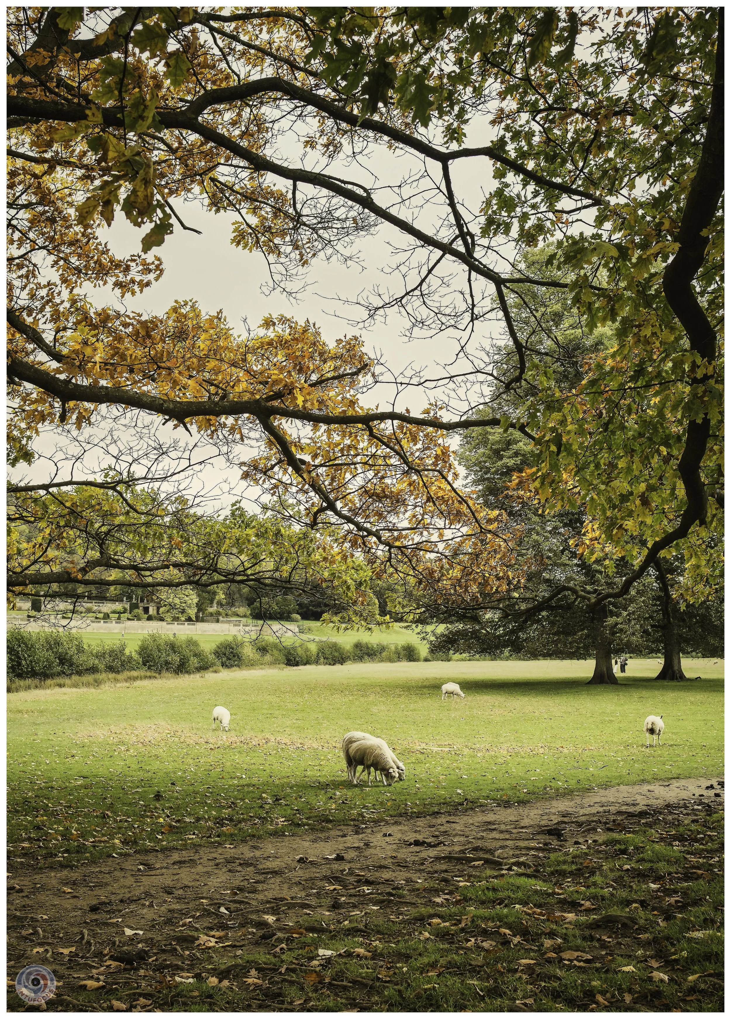 2026-10 - Autumn in Derbyshire (28 of 78).jpg
