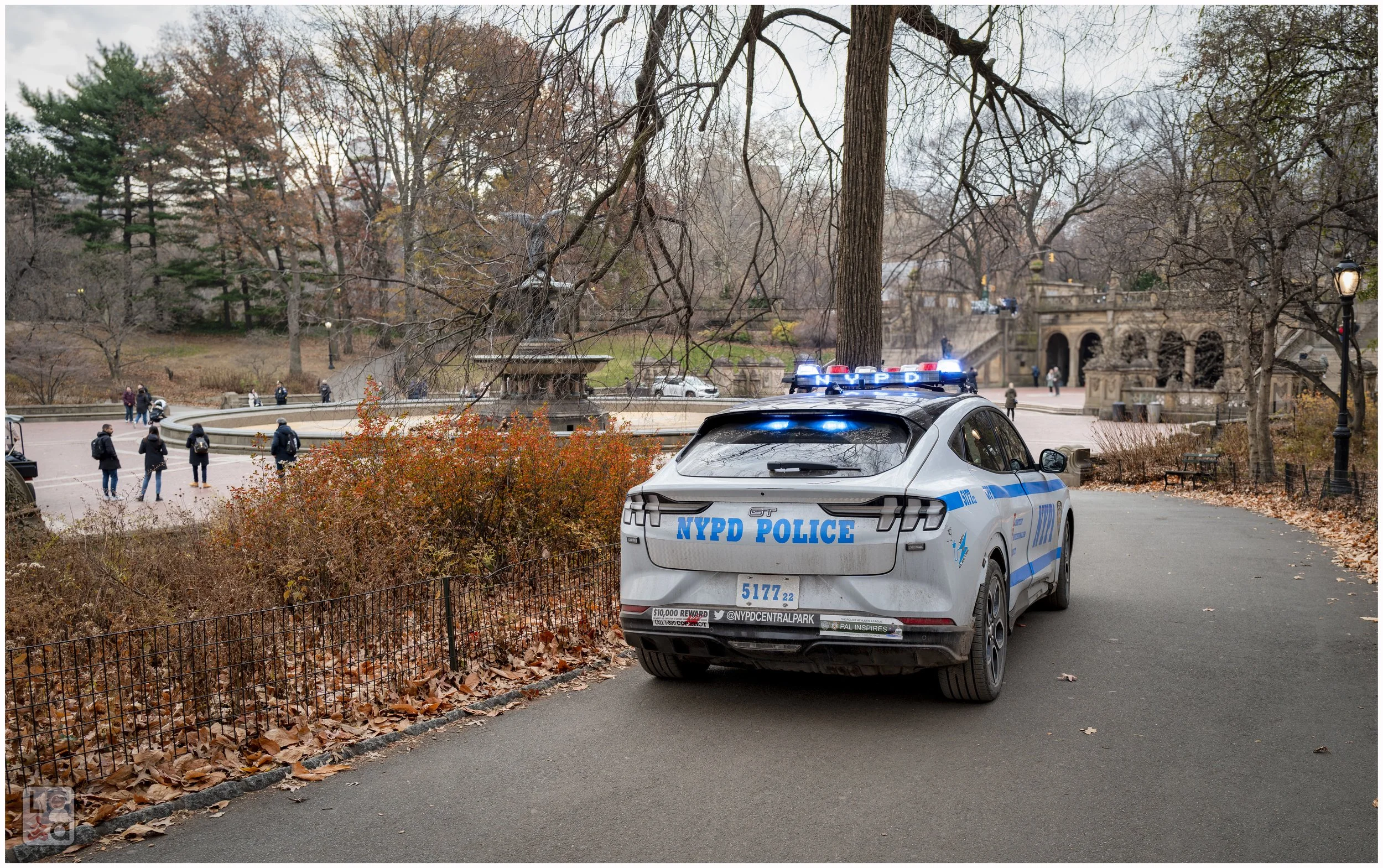 2024-12 - New York-27.jpg