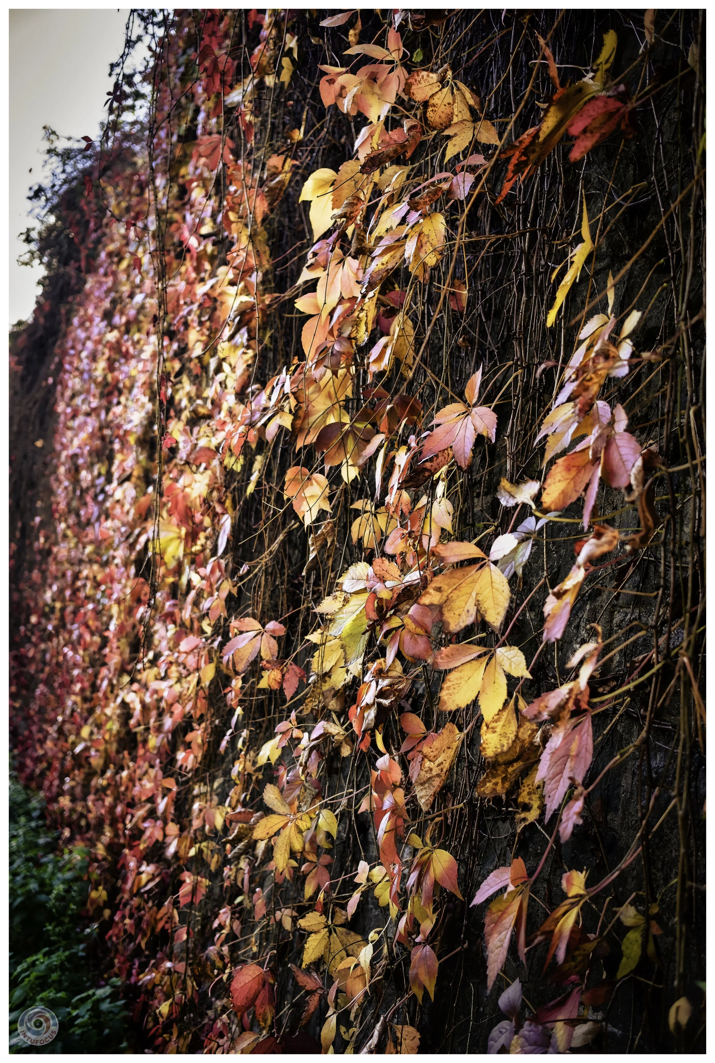 2026-10 - Autumn in Derbyshire (50 of 78).jpg
