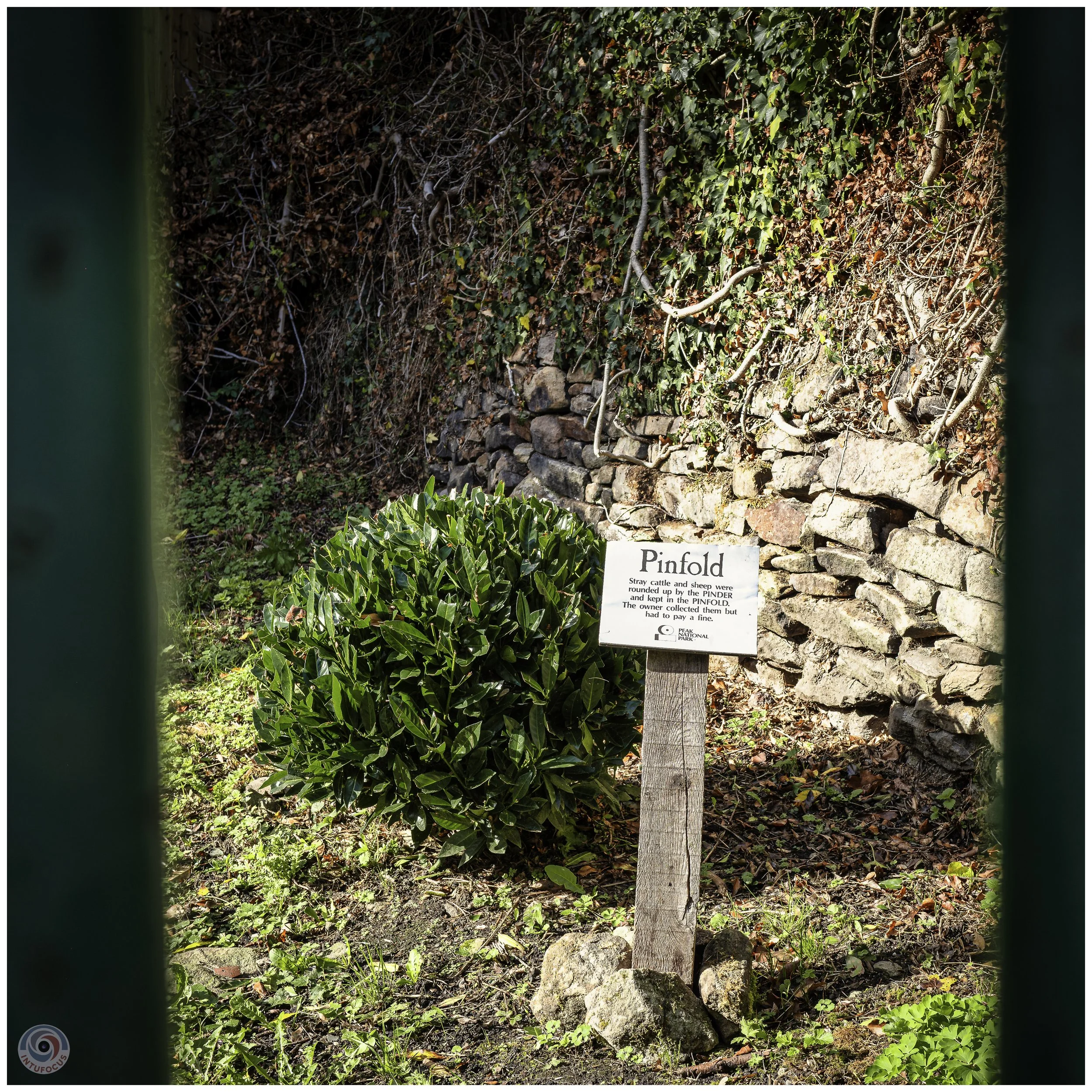 2026-10 - Autumn in Derbyshire (73 of 78).jpg