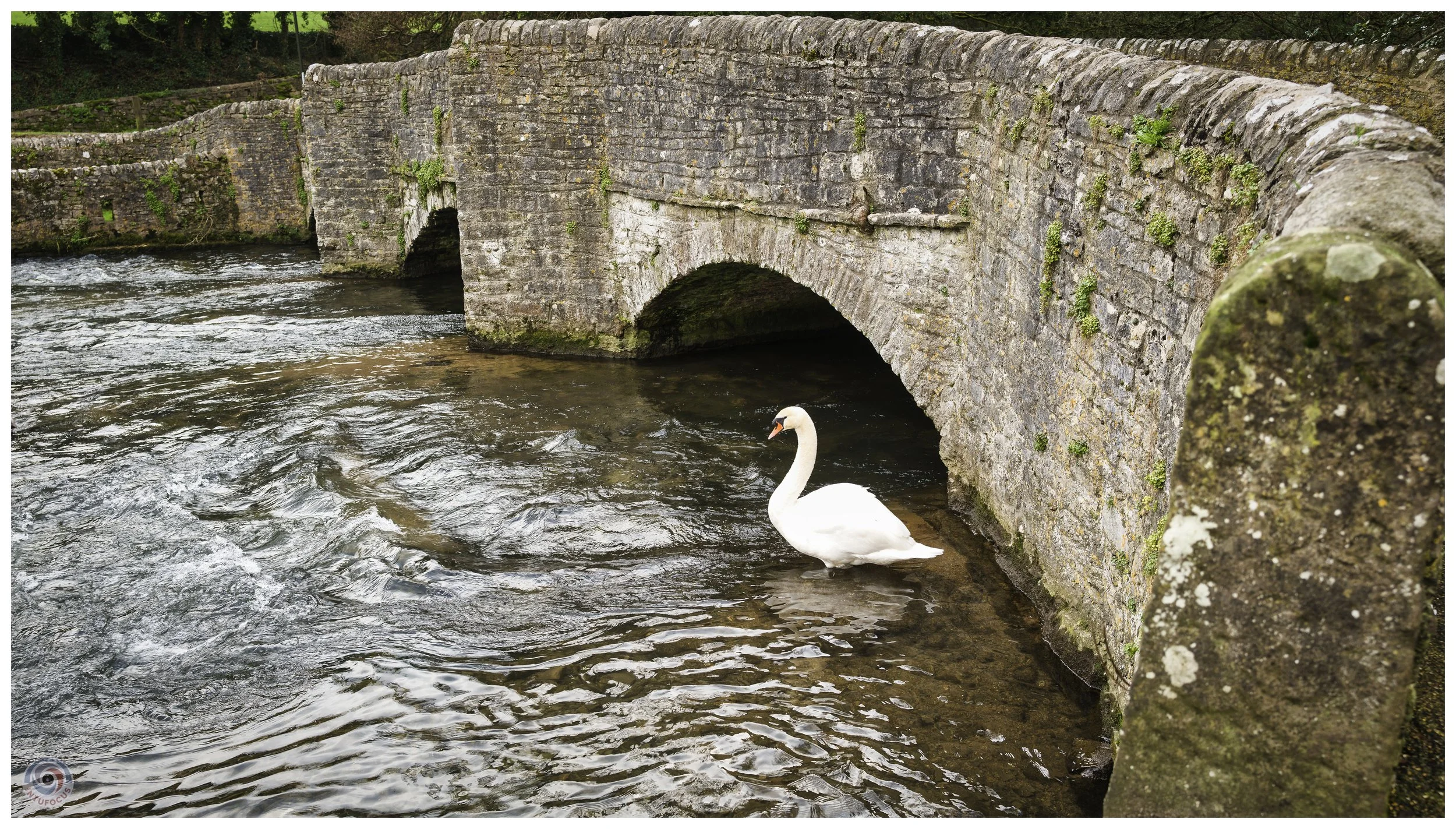 Ashford on the Water, Derbyshire