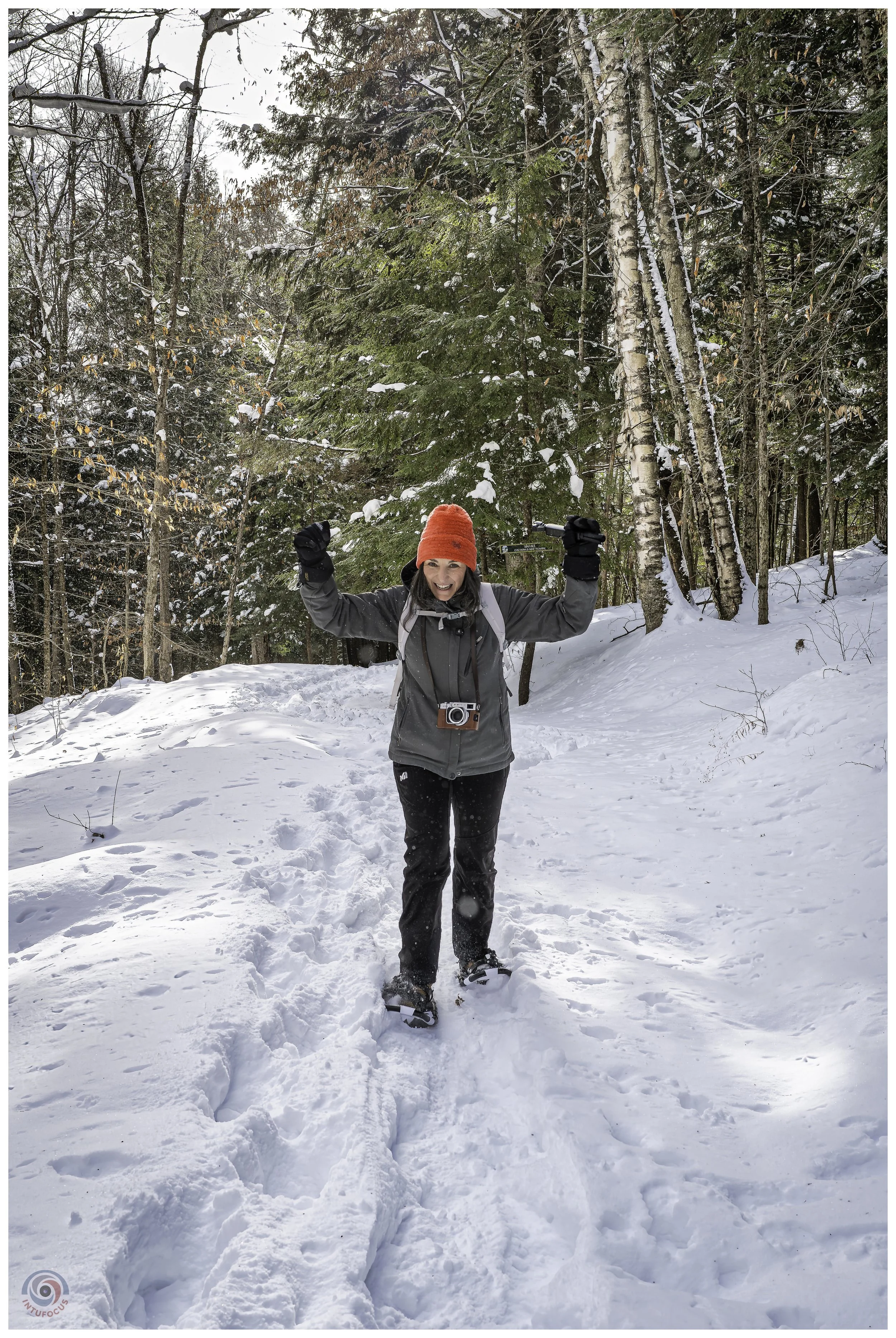 Cady Hill Forest, Stowe, VT