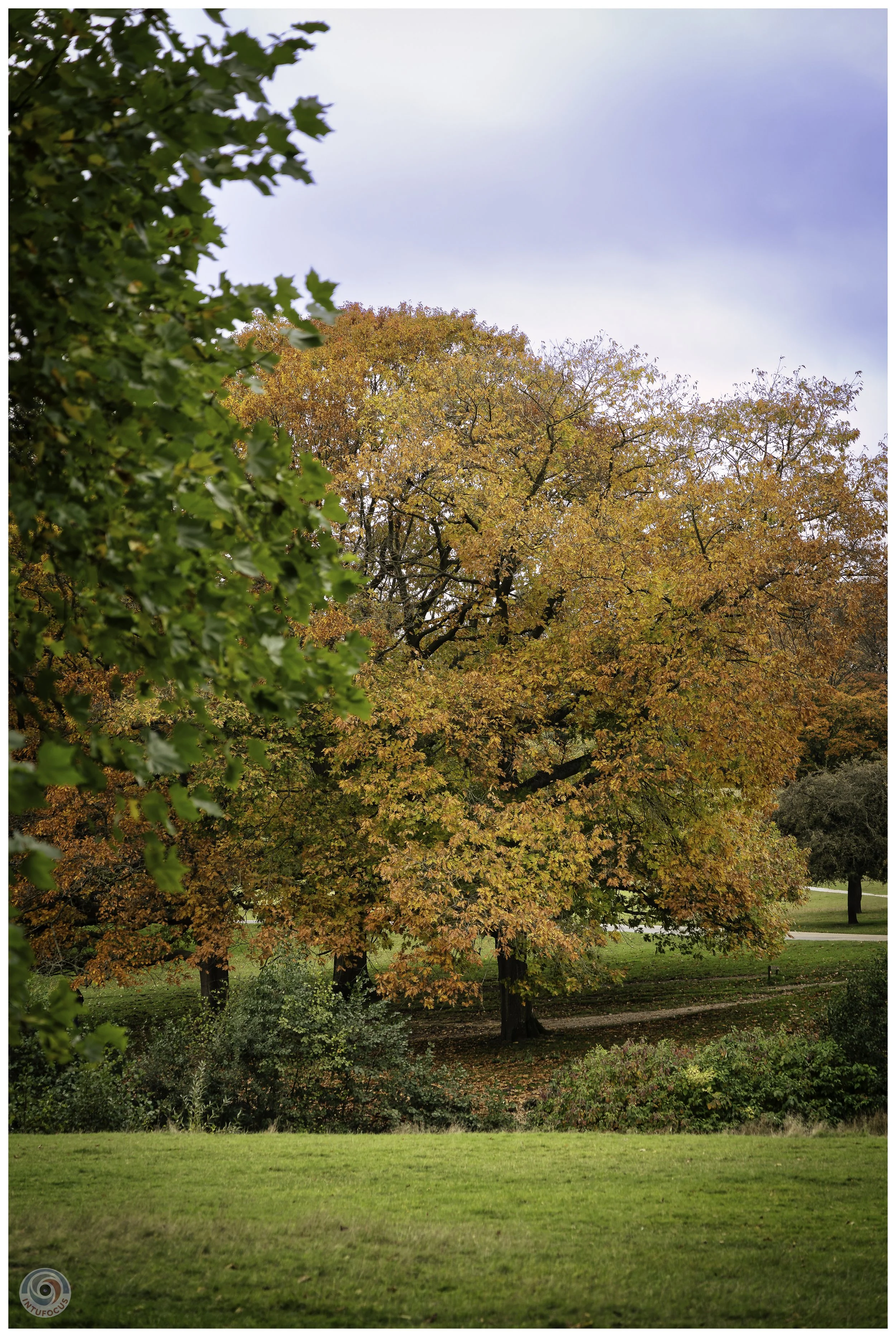 2026-10 - Autumn in Derbyshire (17 of 78).jpg