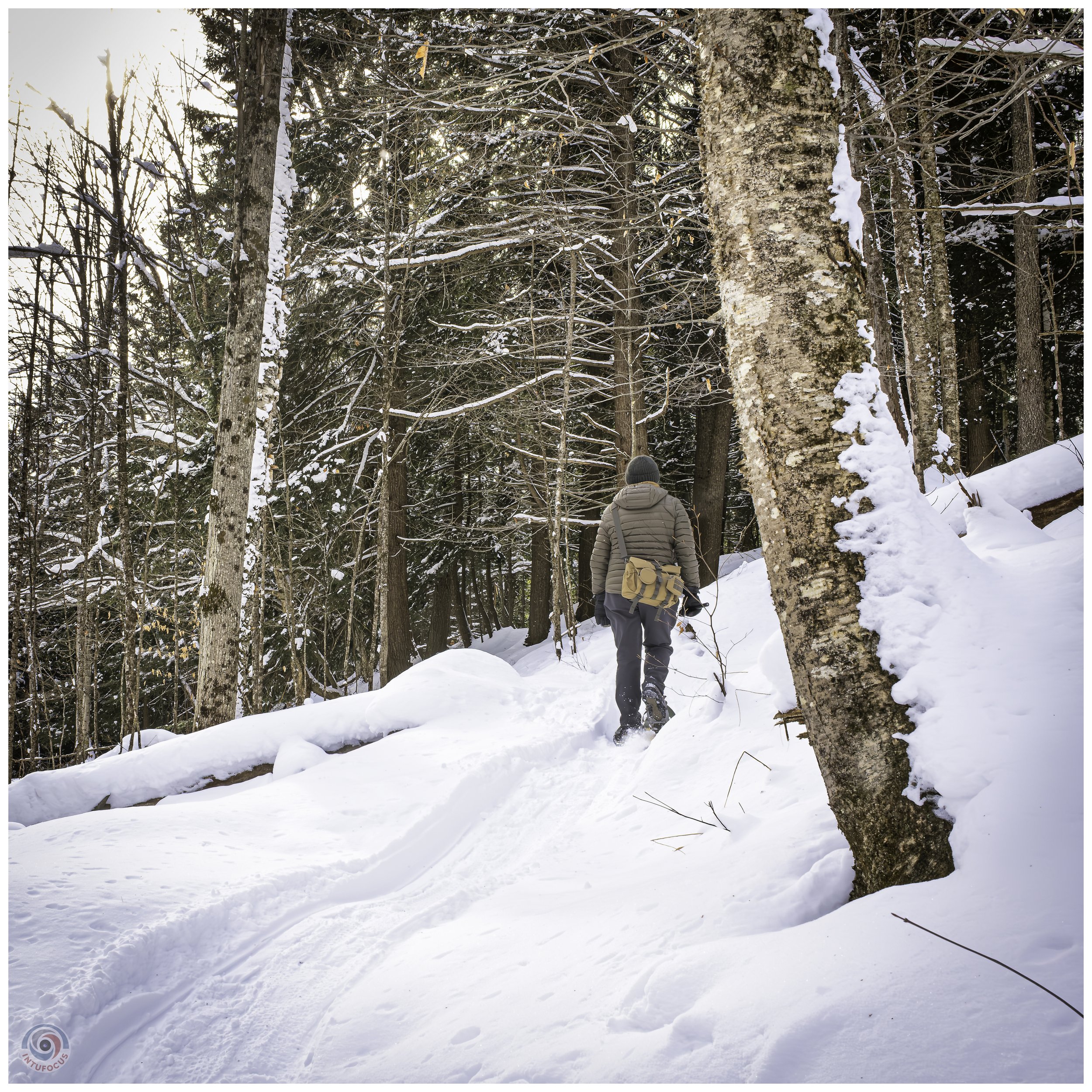 Cady Hill Forest, Stowe, VT