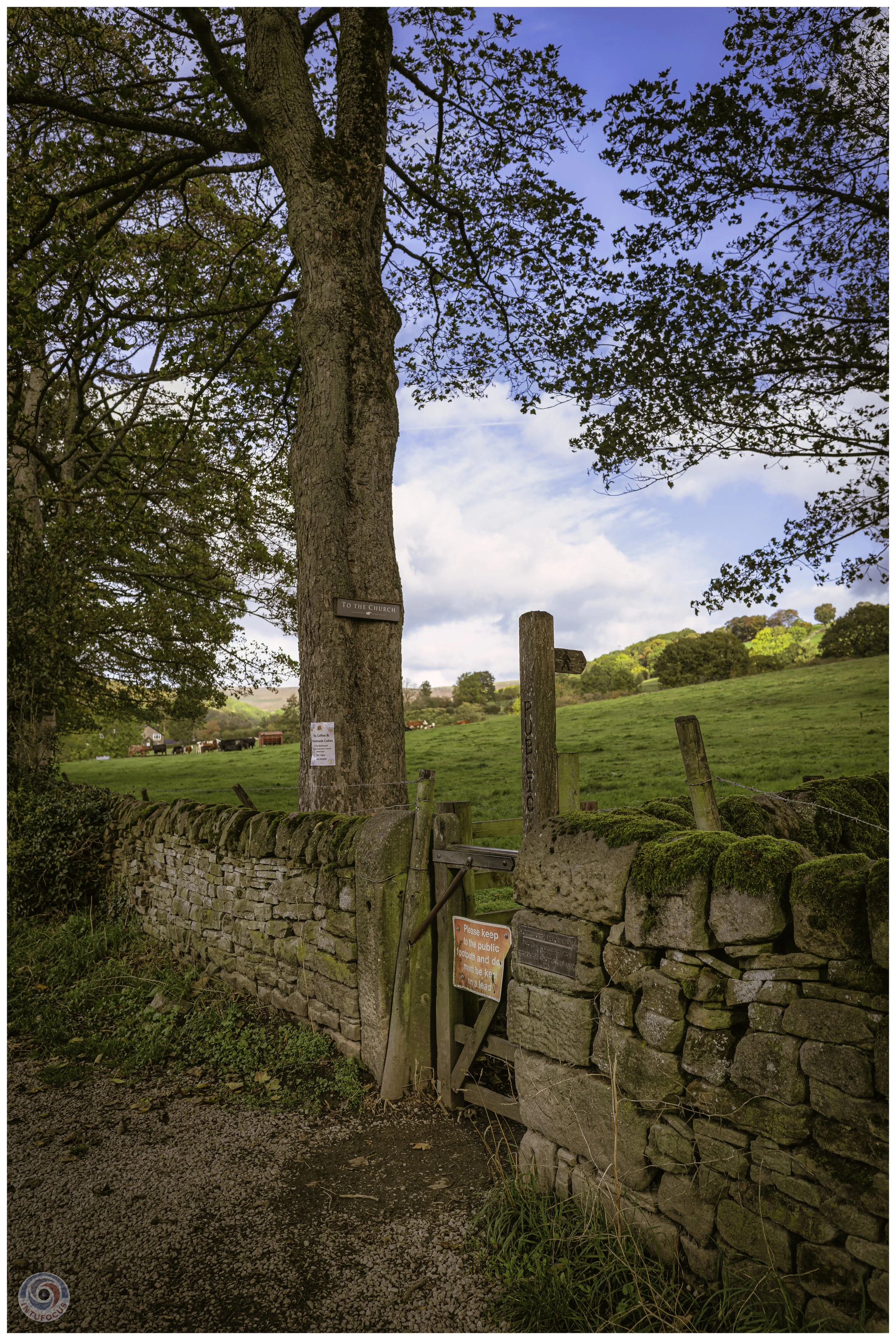2026-10 - Autumn in Derbyshire (56 of 78).jpg
