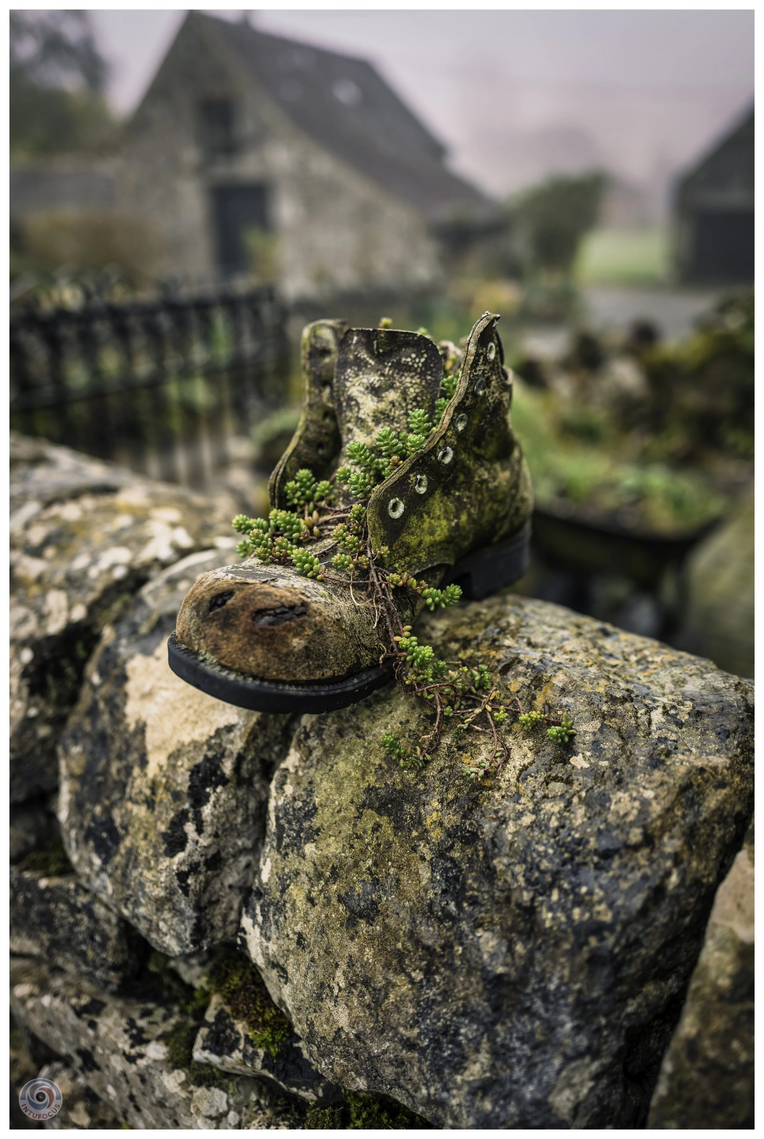 Tissington, Derbyshire