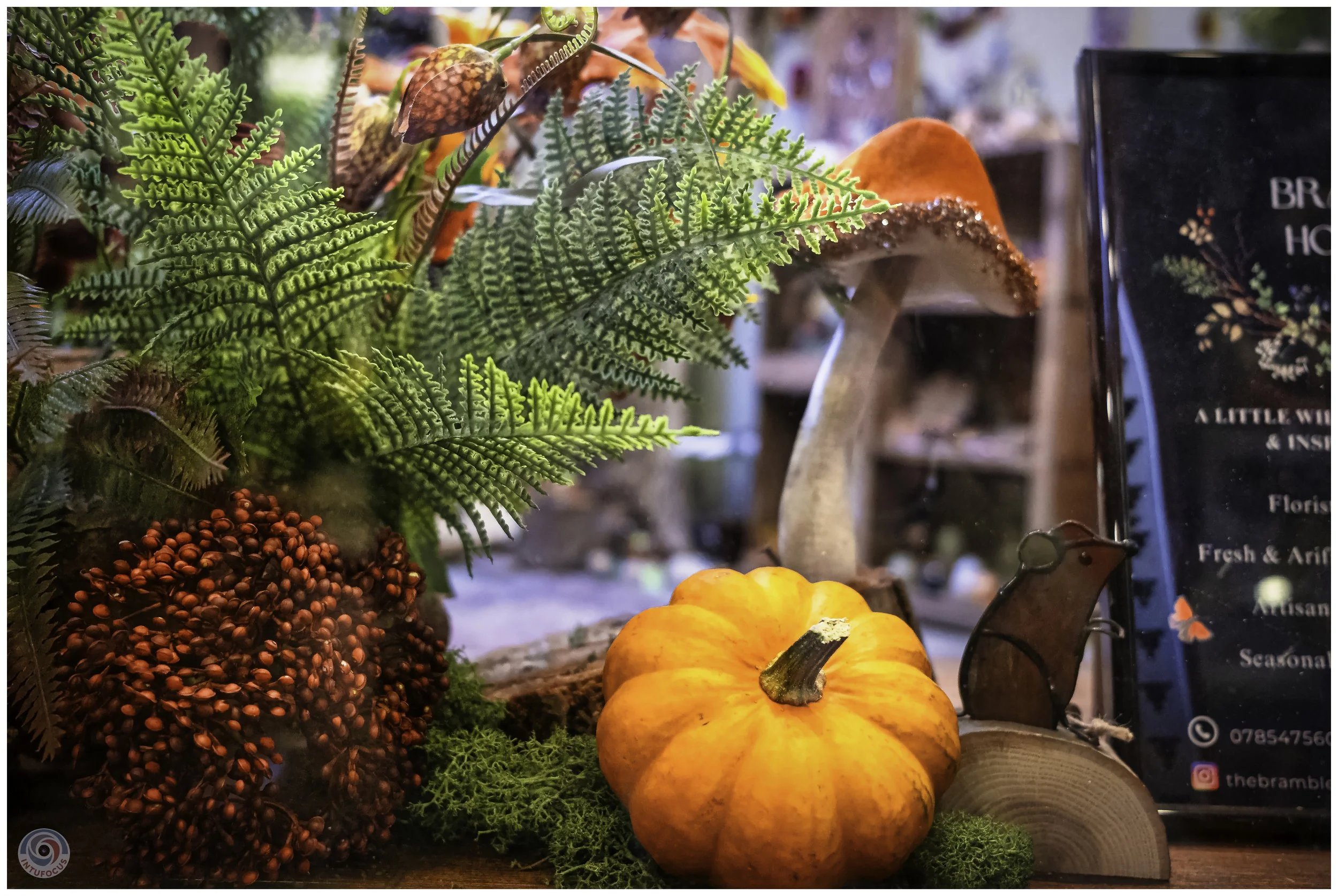 2026-10 - Autumn in Derbyshire (47 of 78).jpg