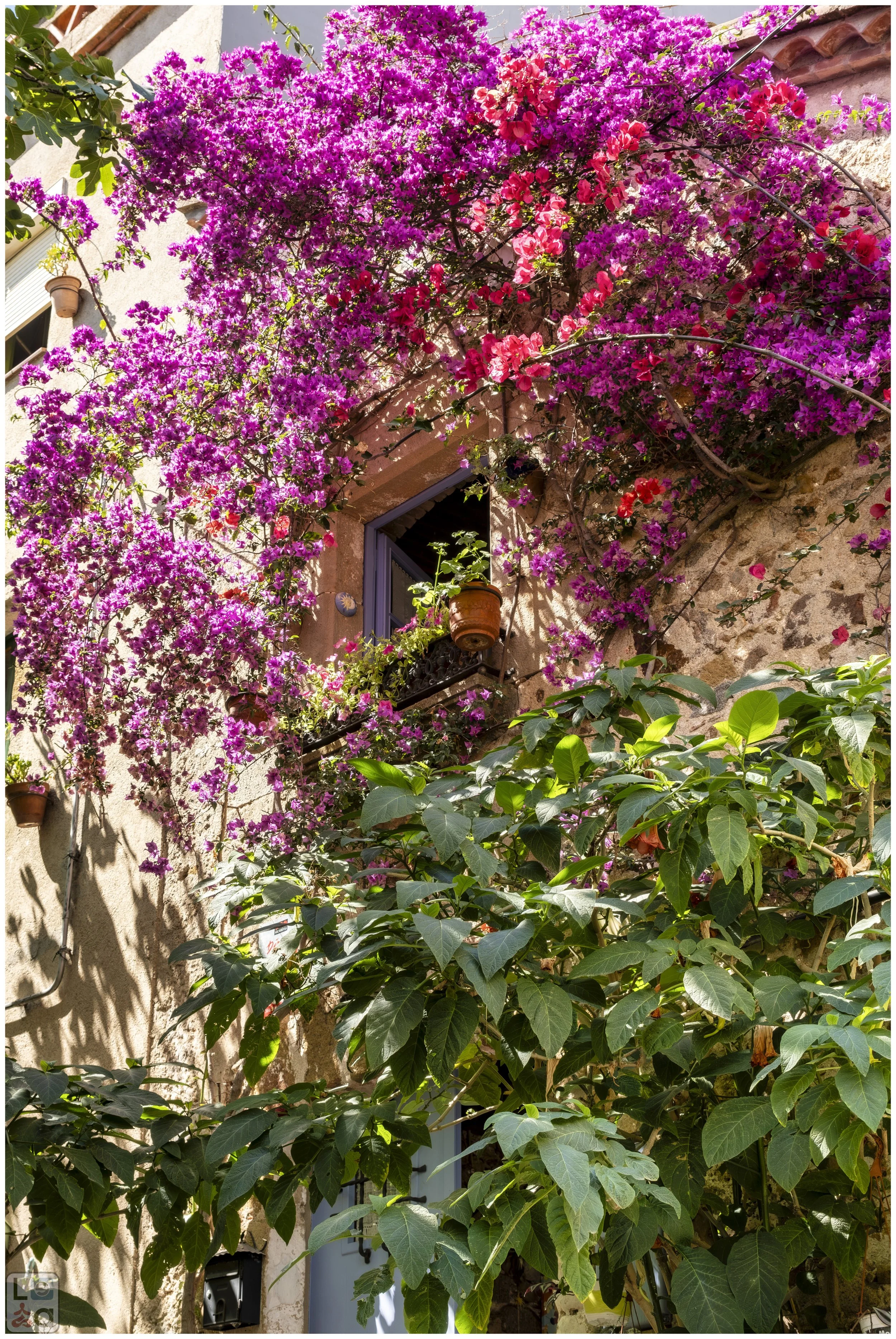 2024 Tossa de Mar-29.jpg