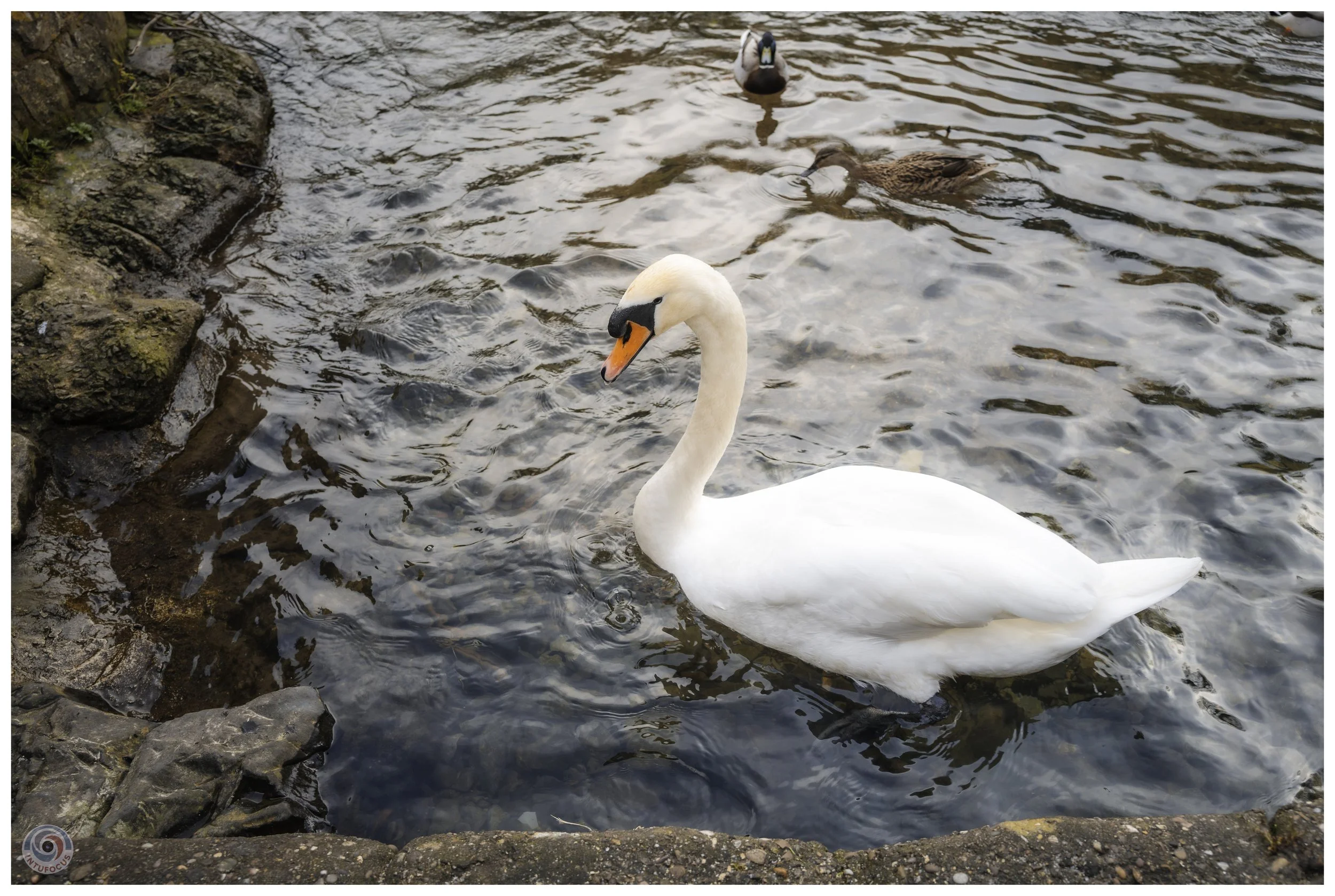Ashford on the Water, Derbyshire