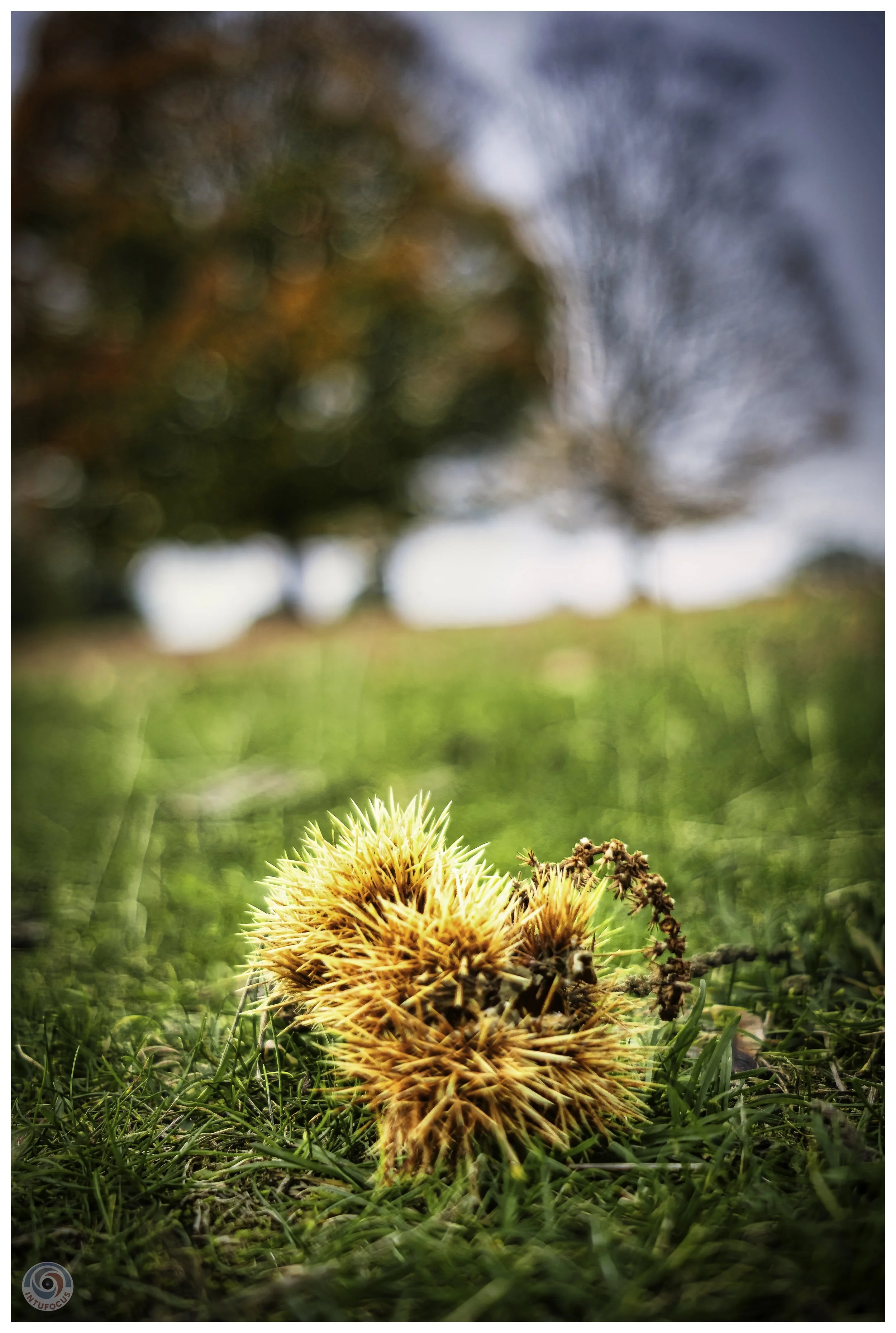 2026-10 - Autumn in Derbyshire (37 of 78).jpg