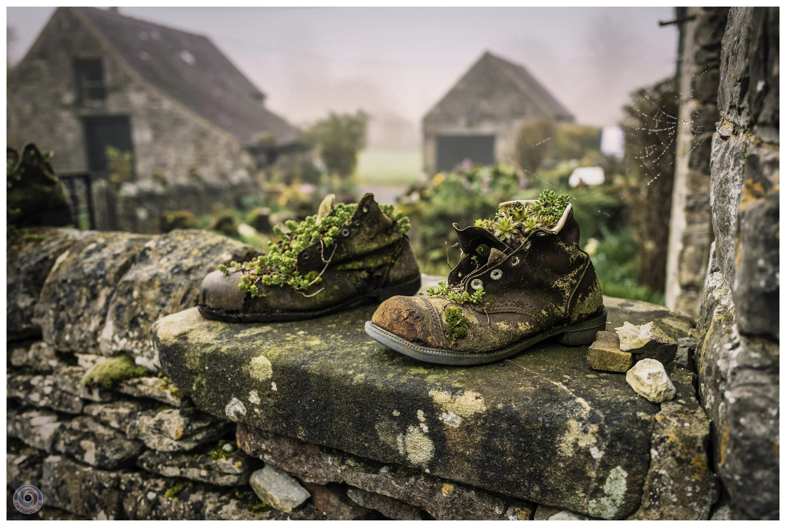 Tissington, Derbyshire