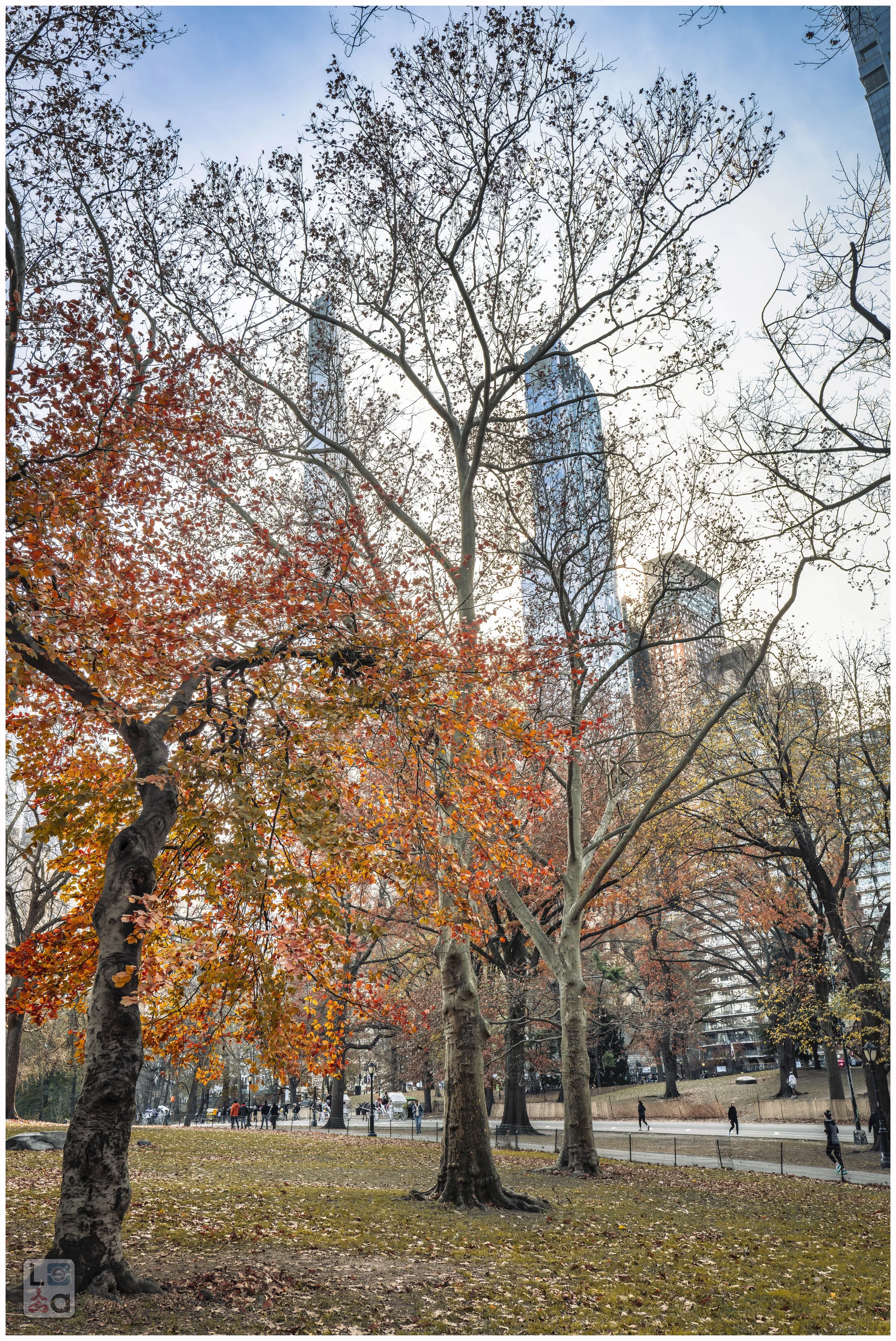 2024-12 - New York-3.jpg