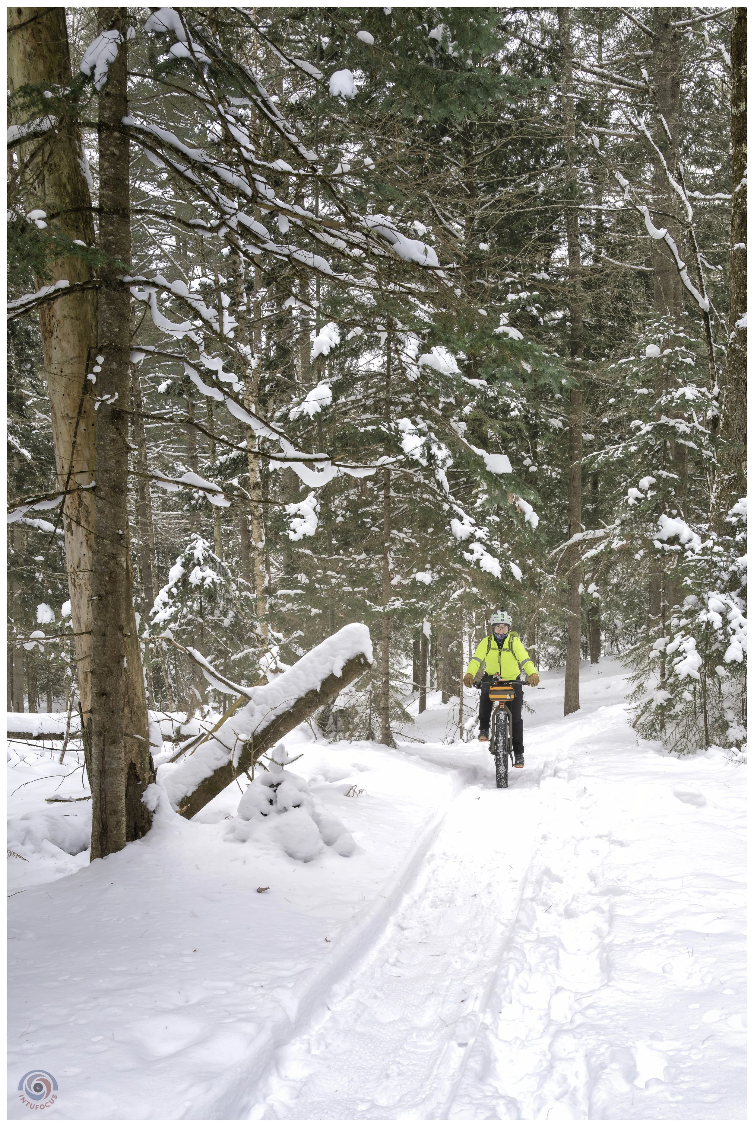 Cady Hill Forest, Stowe, VT
