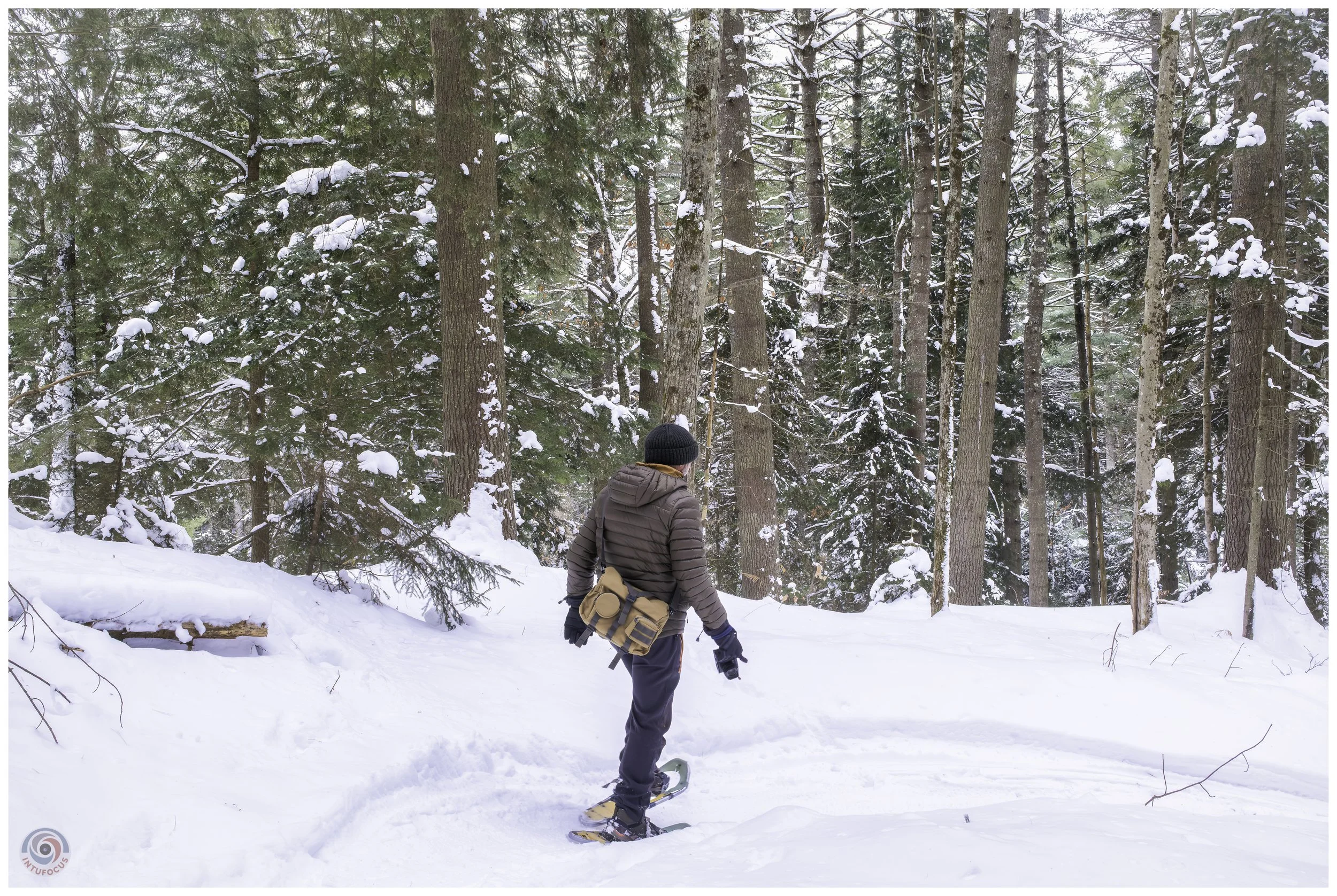 Cady Hill Forest, Stowe, VT