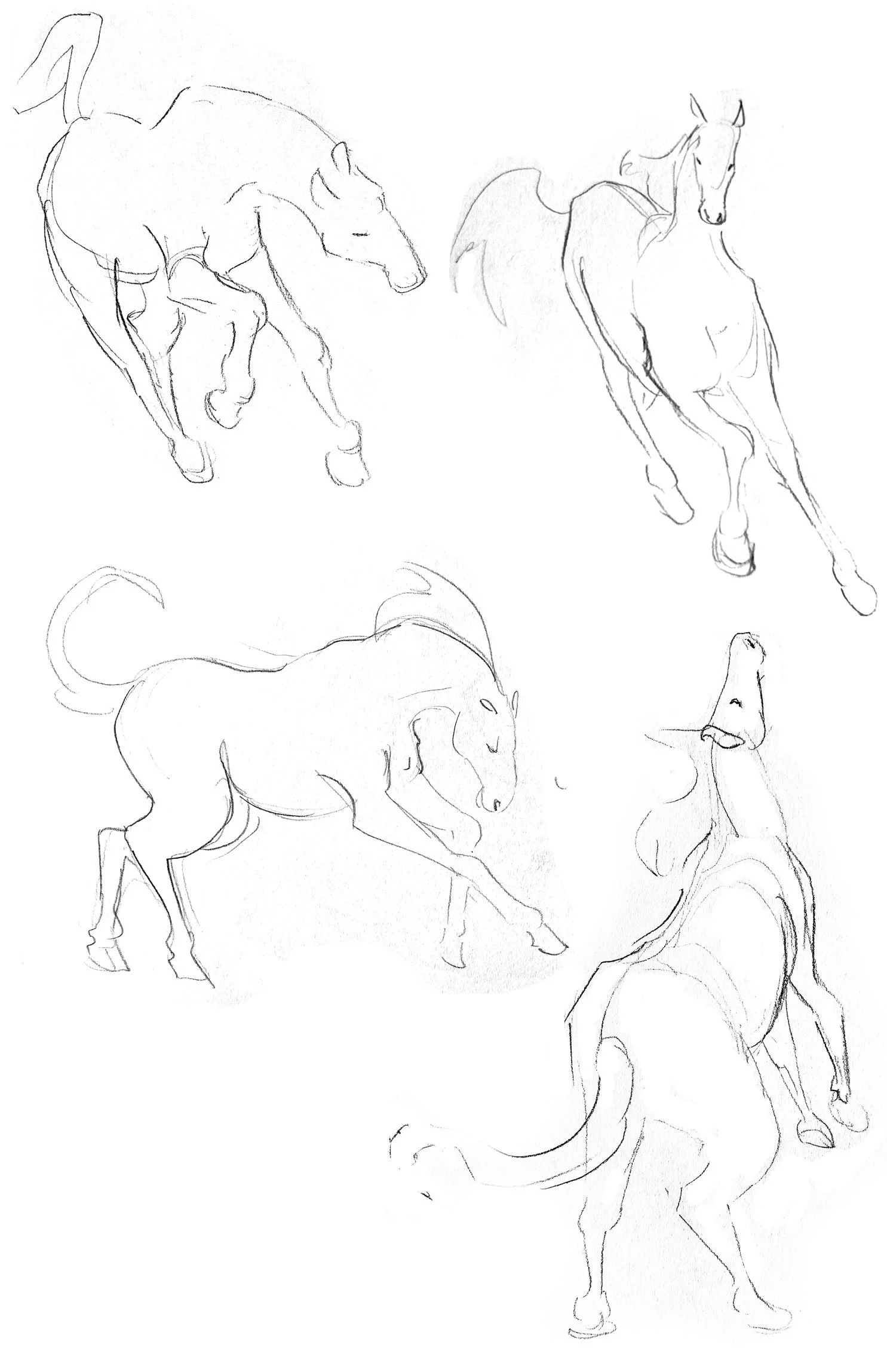 figuredrawhorse.jpg