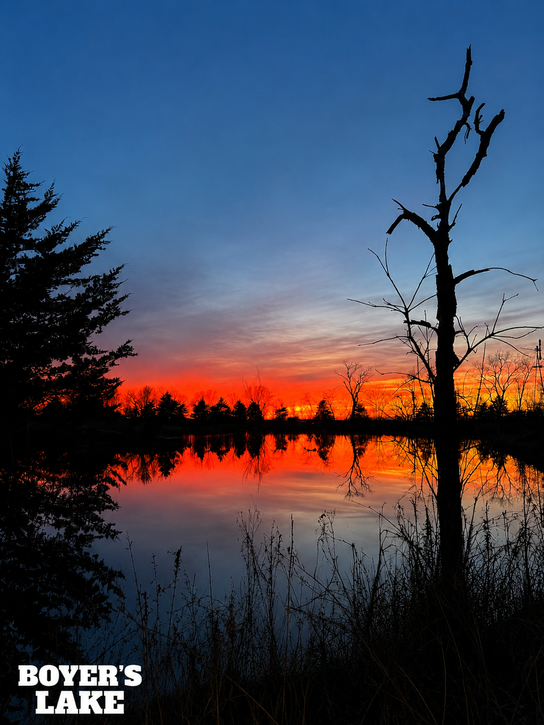 2477DB3D-D399-420C-A76F-62C5C58C6A4A.png