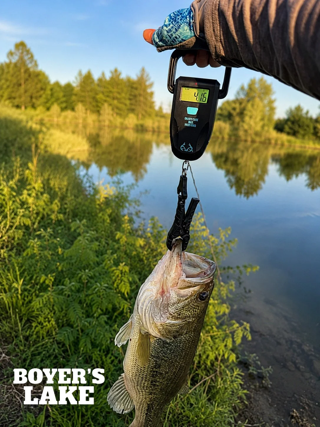 A person is holding a fish that has been caught in a lake using a digital scale, which shows a weight of 4.16 pounds. The scene is outdoors near Boyer's Lake, with green foliage and trees reflected in the calm water, under a clear sky.