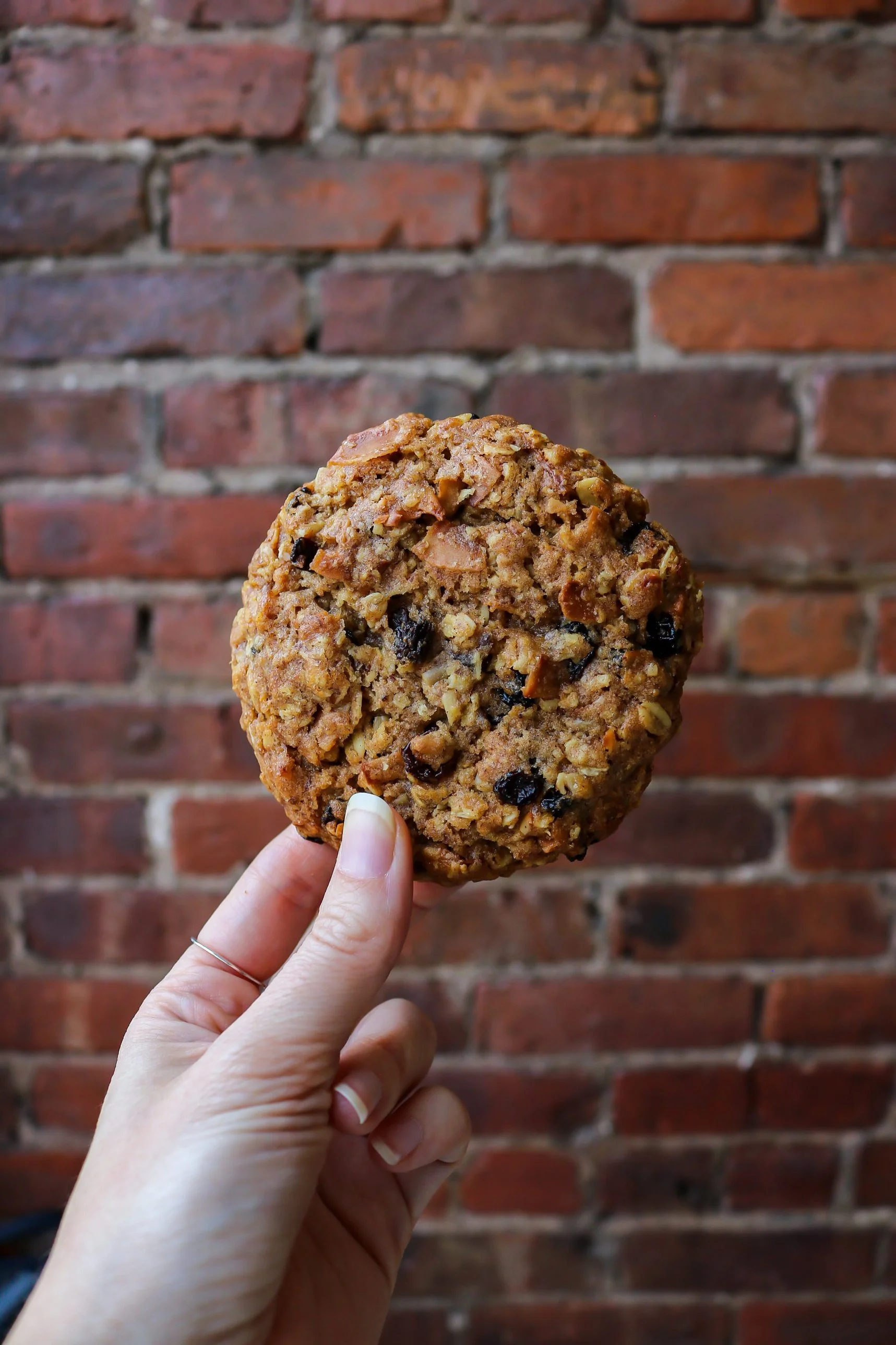 OatmealRaisinCookie_Brooklyn.jpeg