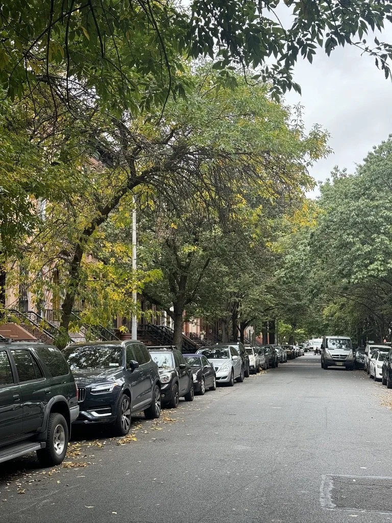 A photo of one of our favorite places to watch the NYC Marathon in Clinton Hill