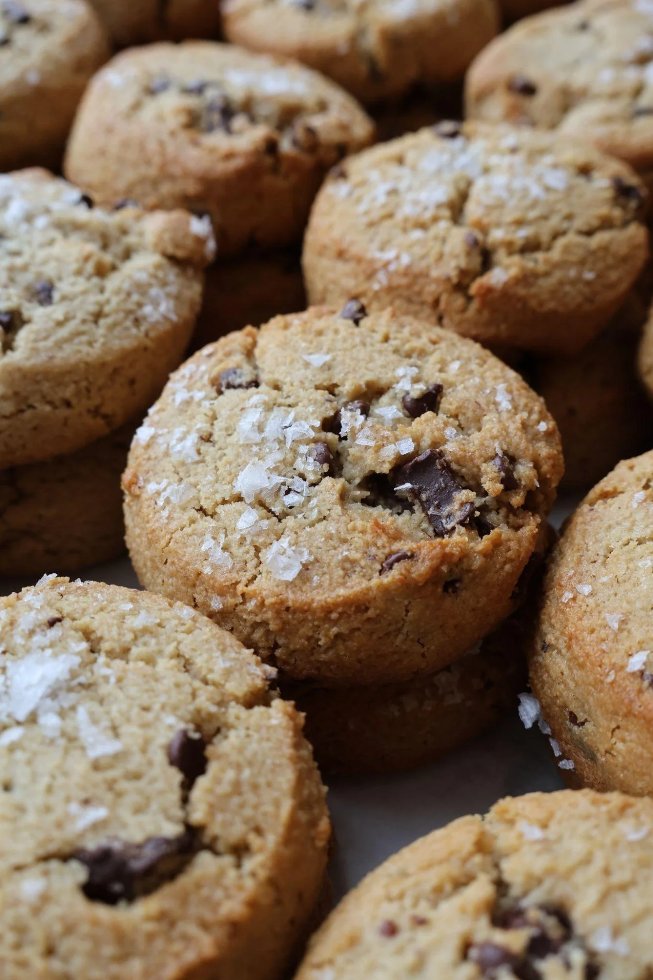 Image of gluten free cookies at The Good Batch Bakery in Brooklyn