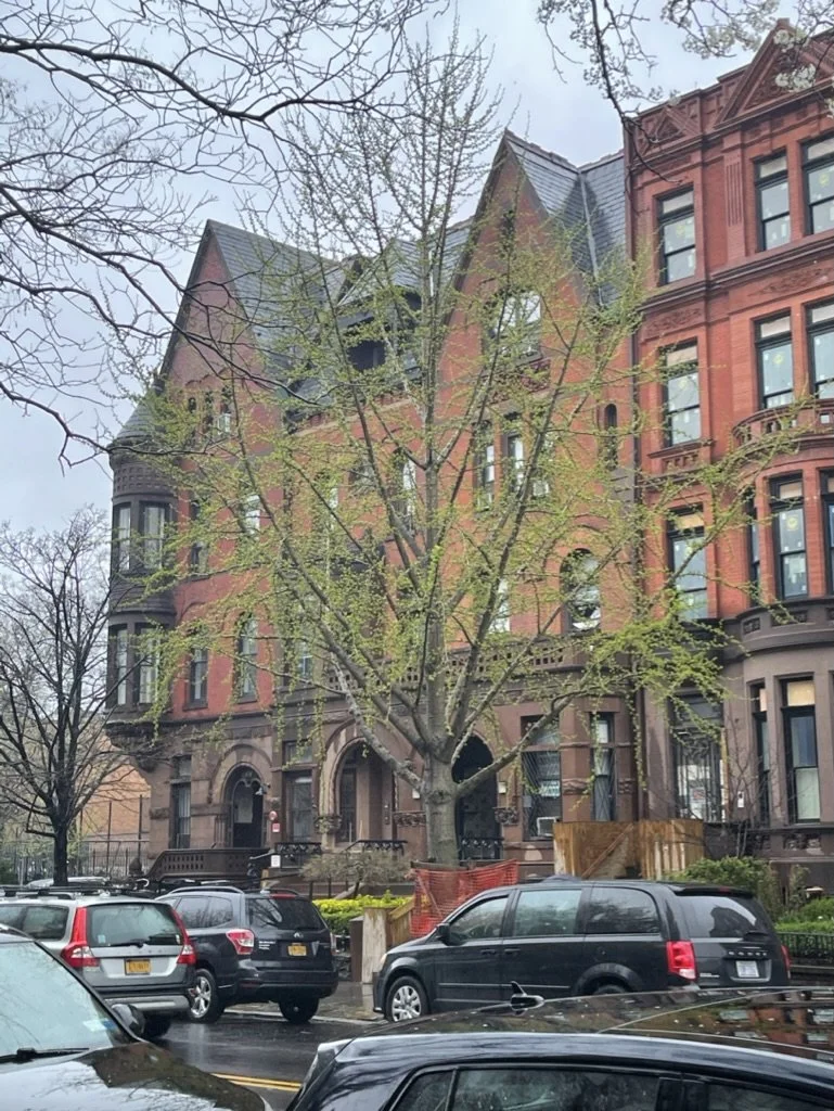 An image of the brownstones on Lafayette Street in Clinton Hill. One of our favorite places to watch the NYC Marathon.