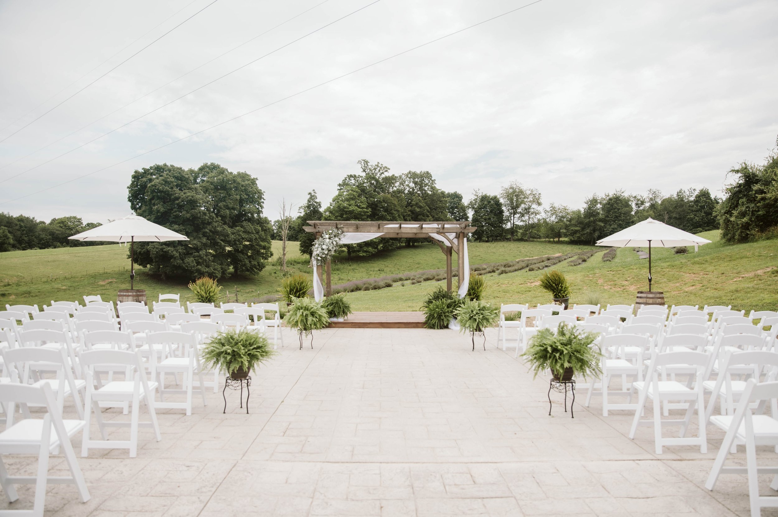 WV+Wedding+Photographer+_+West+Virginia+Wedding+Photographer+_+Stone+House+Lavender+Wedding+Photos+_+Fairmont,+WV+Photographer+_+Courtni+&+Dylan (22).jpeg