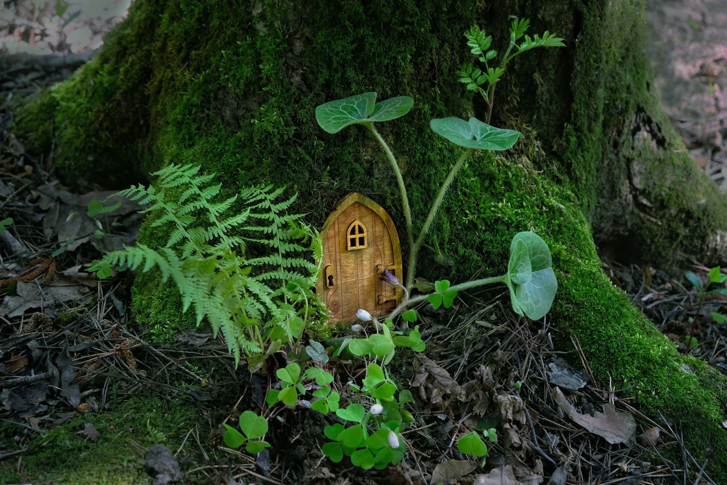 Fairy House Festival