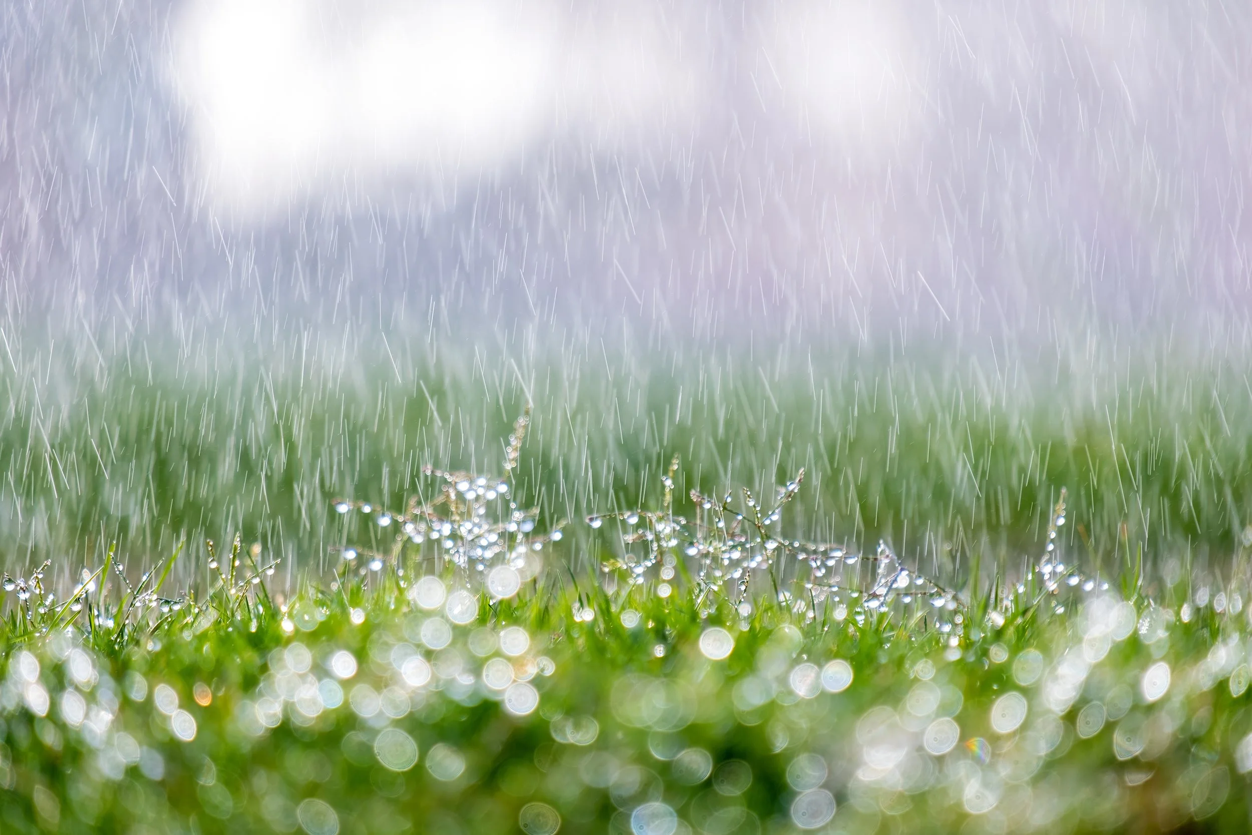 Where Does the Rain Come From?