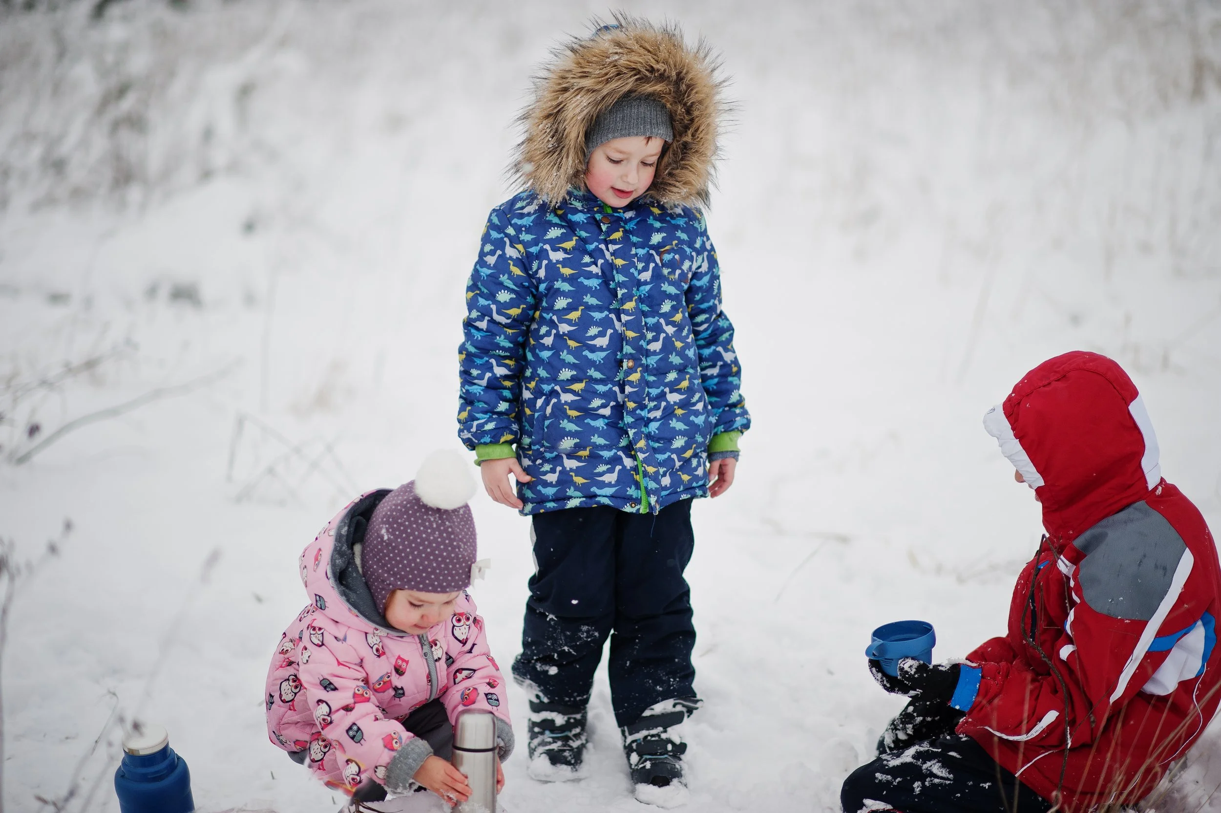 Winter Wonders (K-1st Grade)