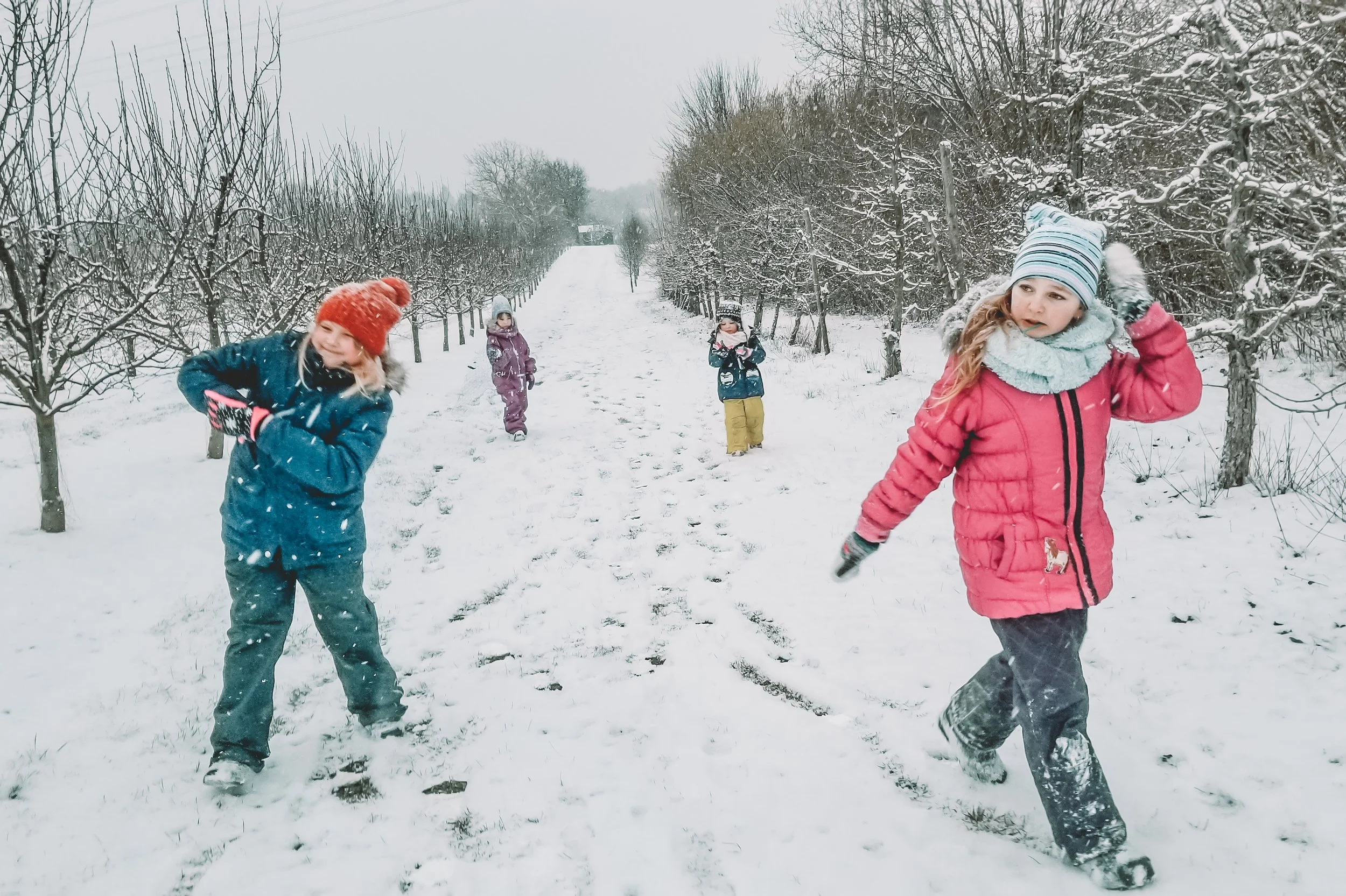 Winter Survival Skills (2nd-4th Grade)