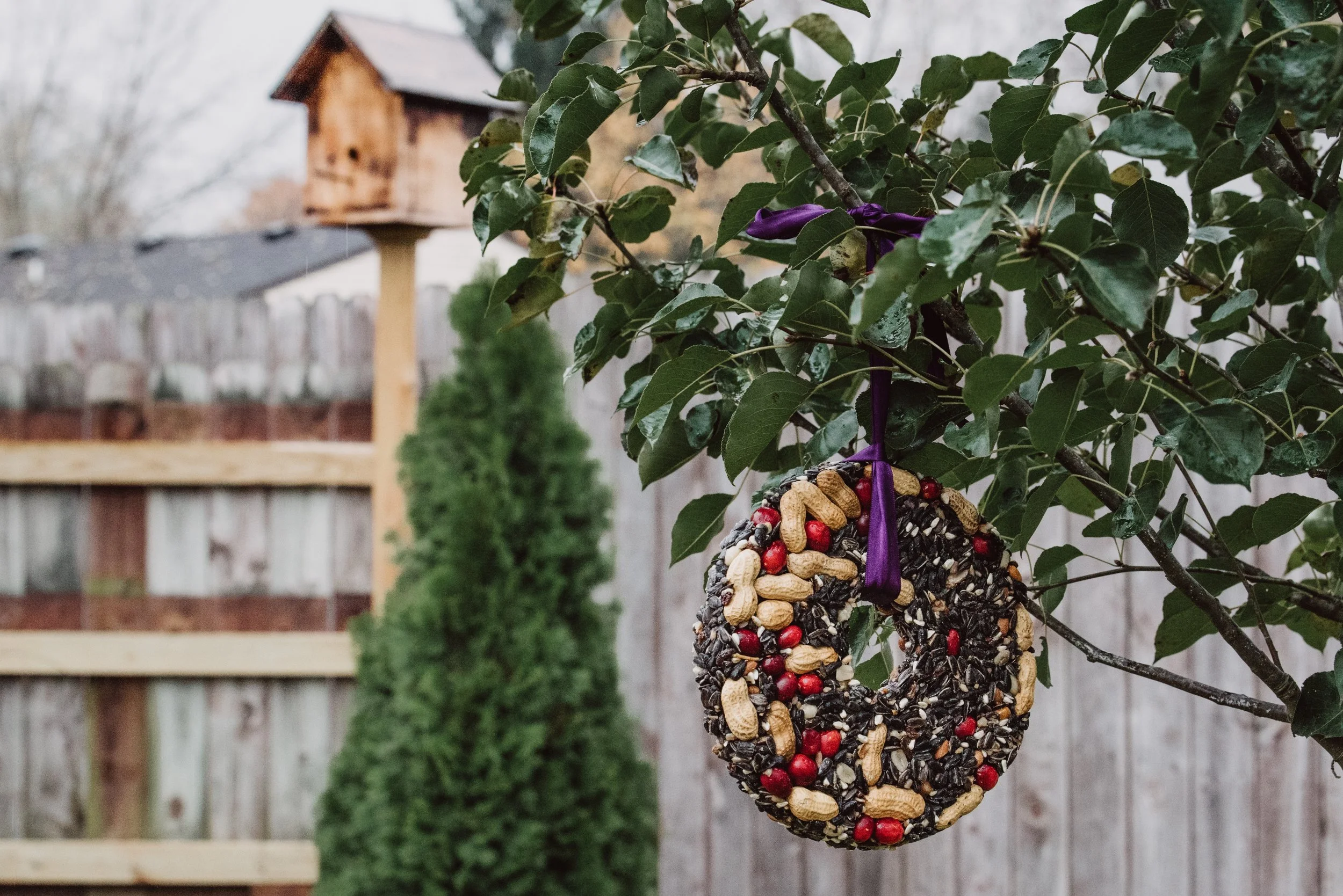 Build a Better Birdfeeder