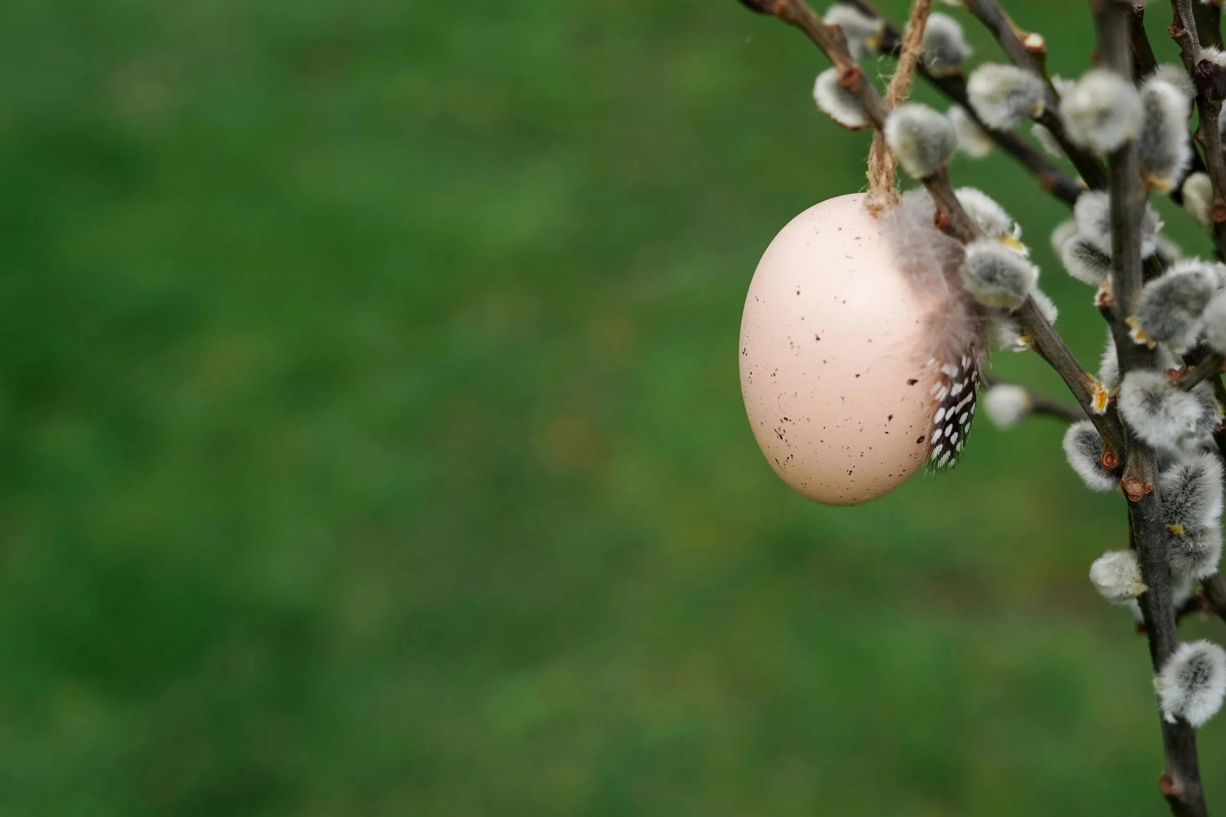 Nest and Egg Adventure