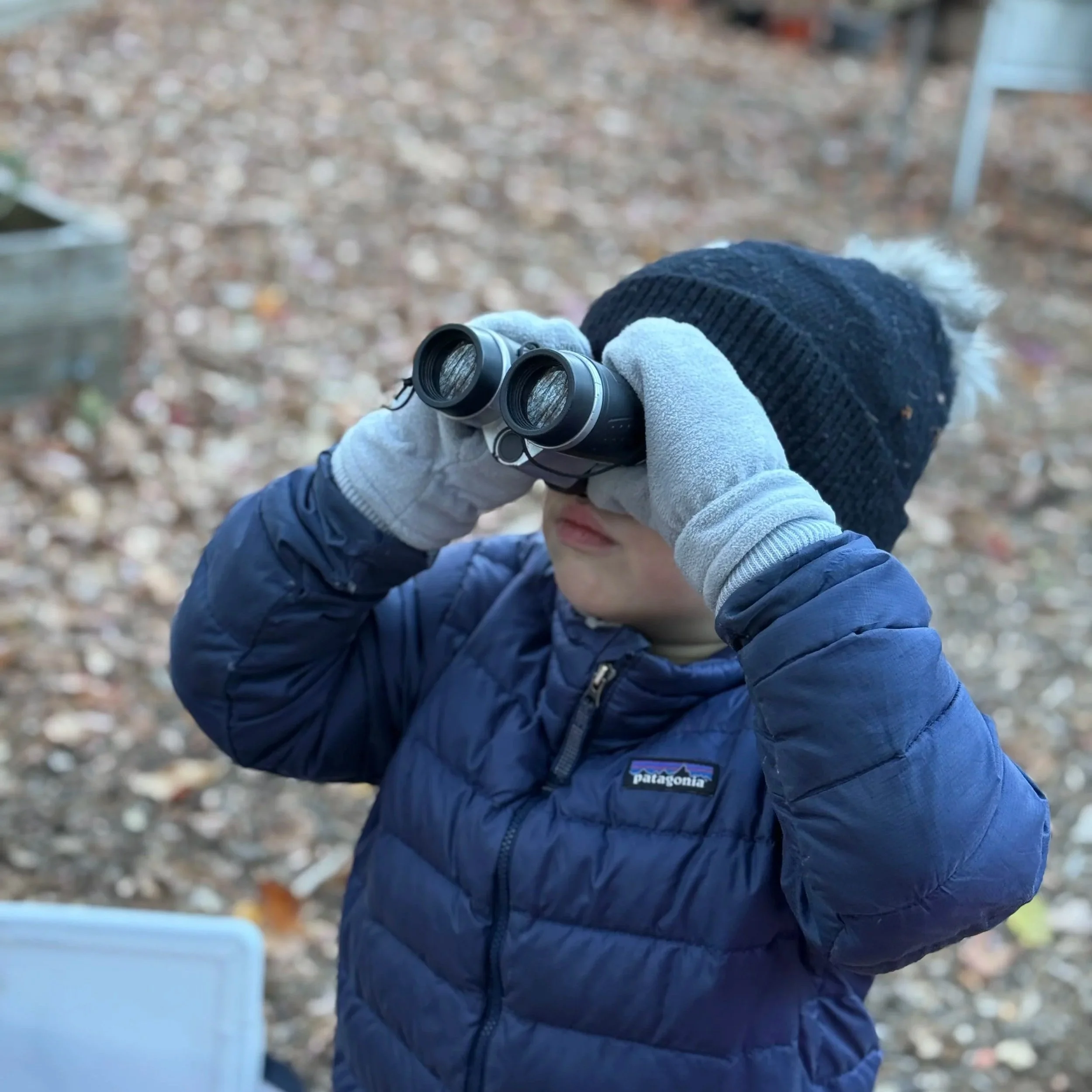 Project Feeder Watch